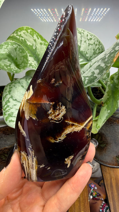 Amber Flame, polished- Indonesia