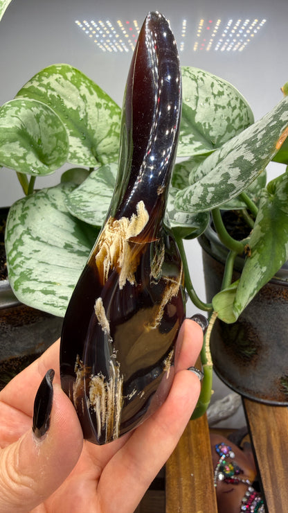 Amber Flame, polished- Indonesia