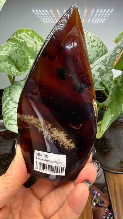 Amber Flame, polished- Indonesia