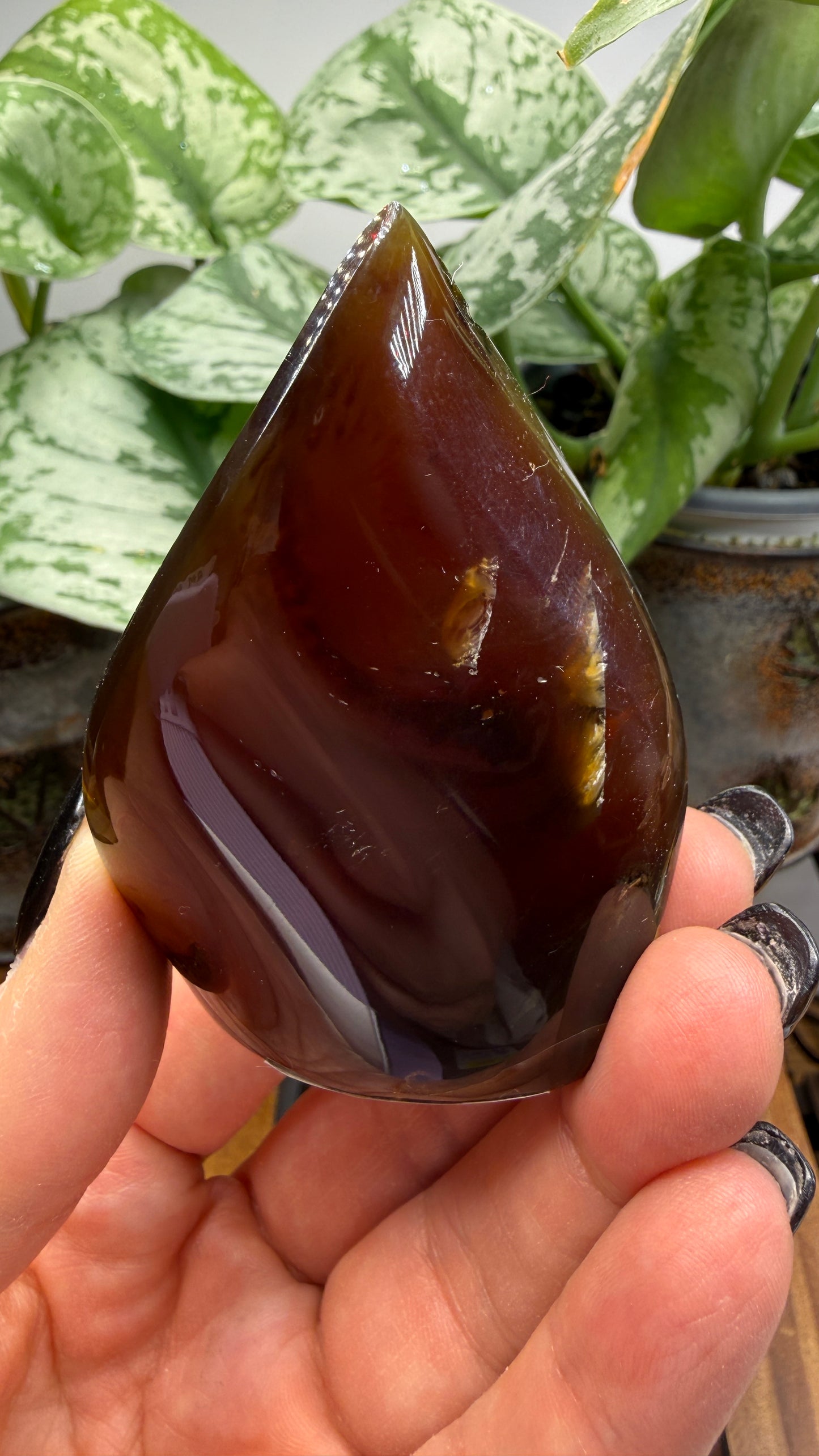 Amber Flame, polished- Indonesia