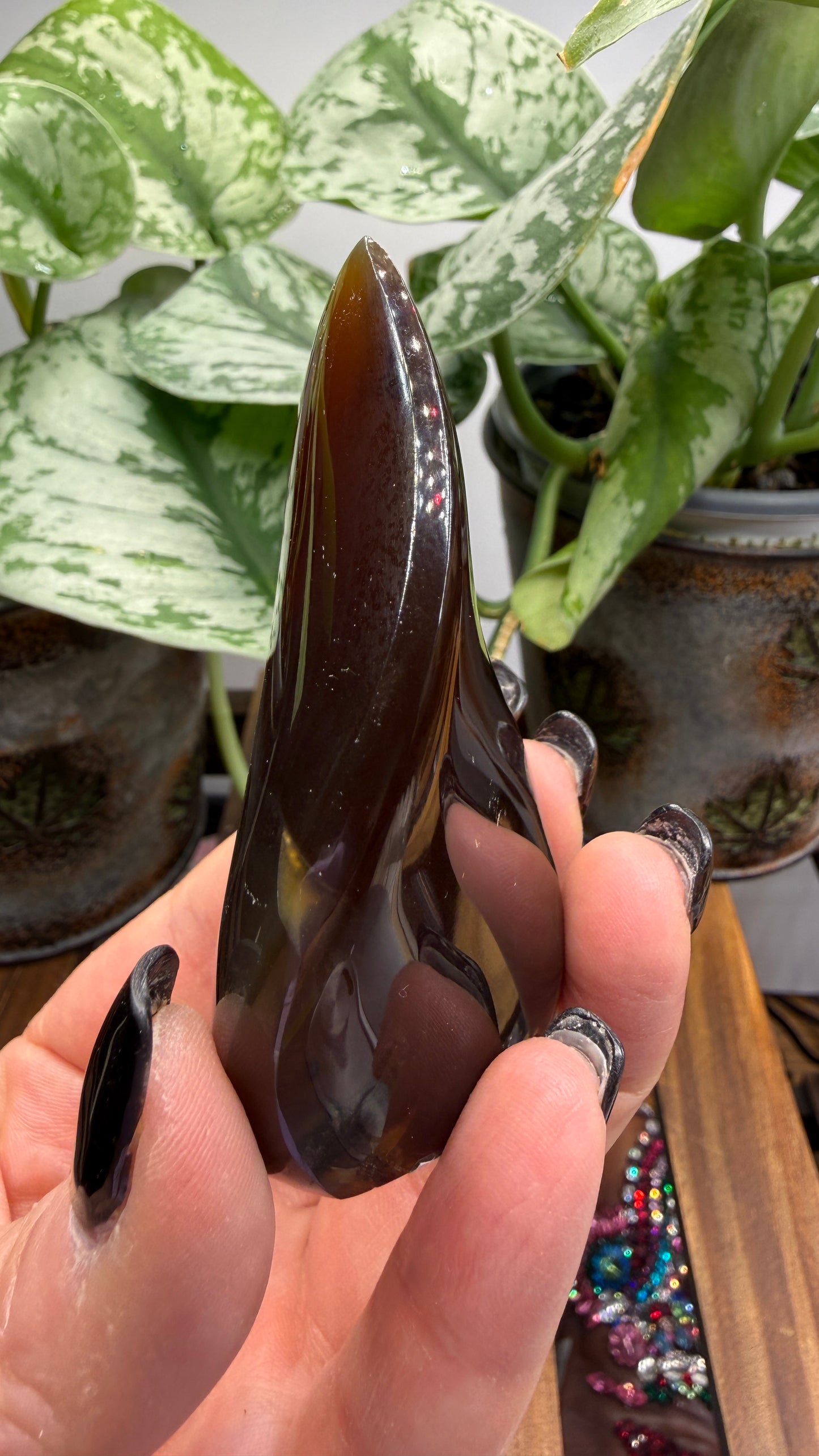 Amber Flame, polished- Indonesia