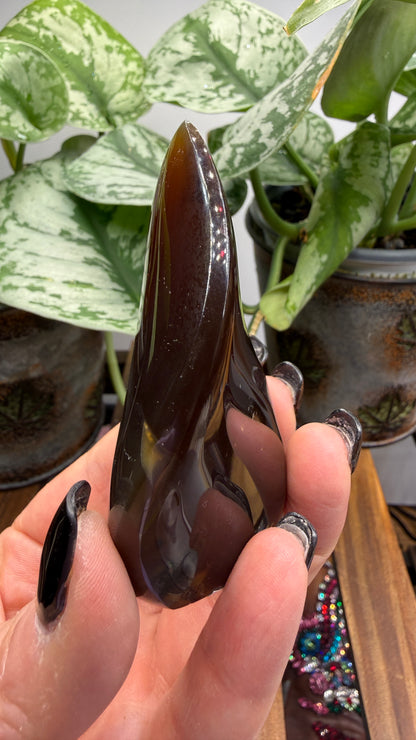 Amber Flame, polished- Indonesia