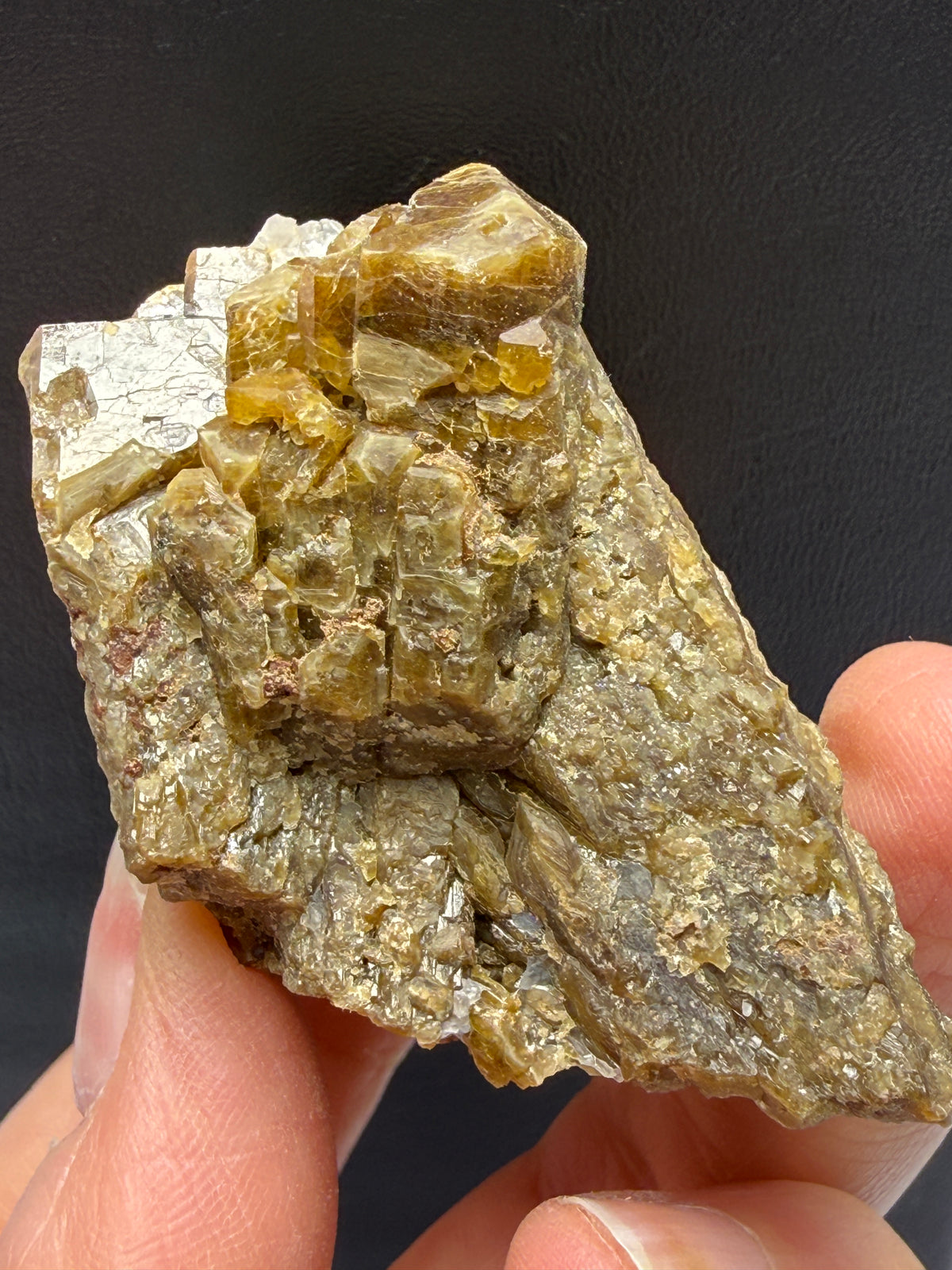 Vesuvianite (Idocrase)- Val di Fiemme, Trento Province, Trentino-Alto Adige, Italy