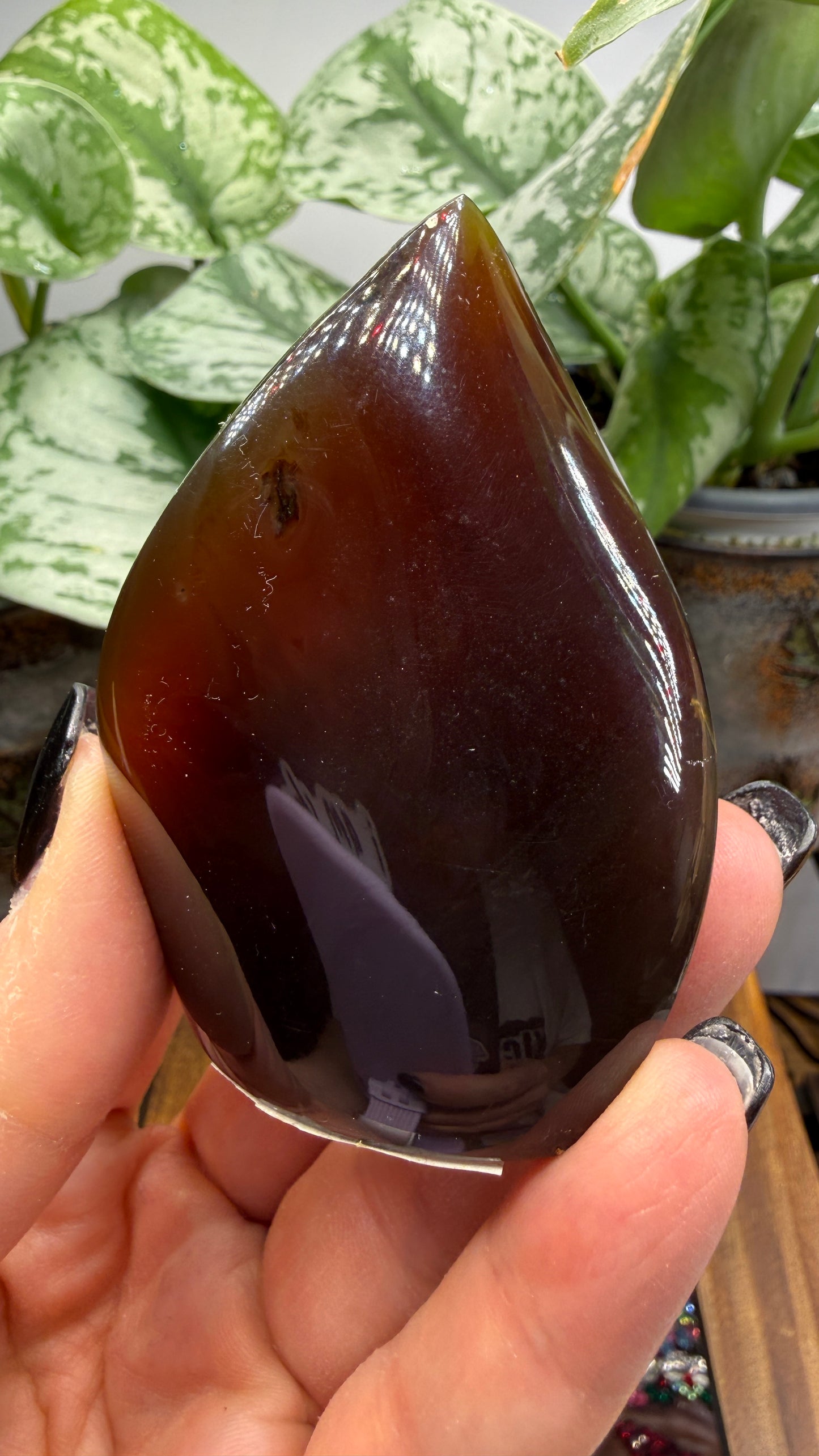 Amber Flame, polished- Indonesia