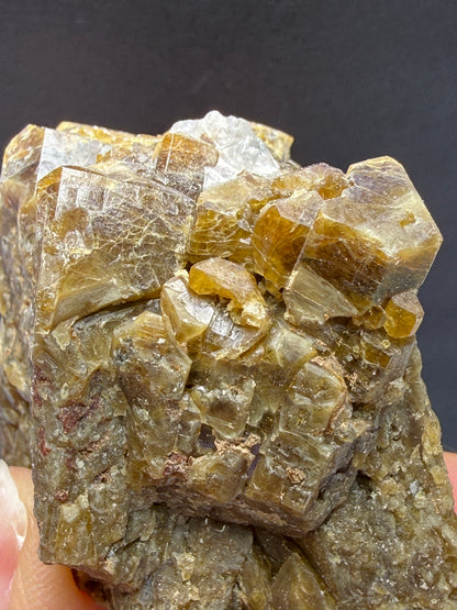 Vesuvianite (Idocrase)- Val di Fiemme, Trento Province, Trentino-Alto Adige, Italy
