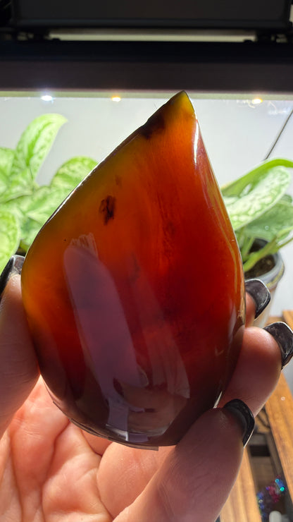 Amber Flame, polished- Indonesia