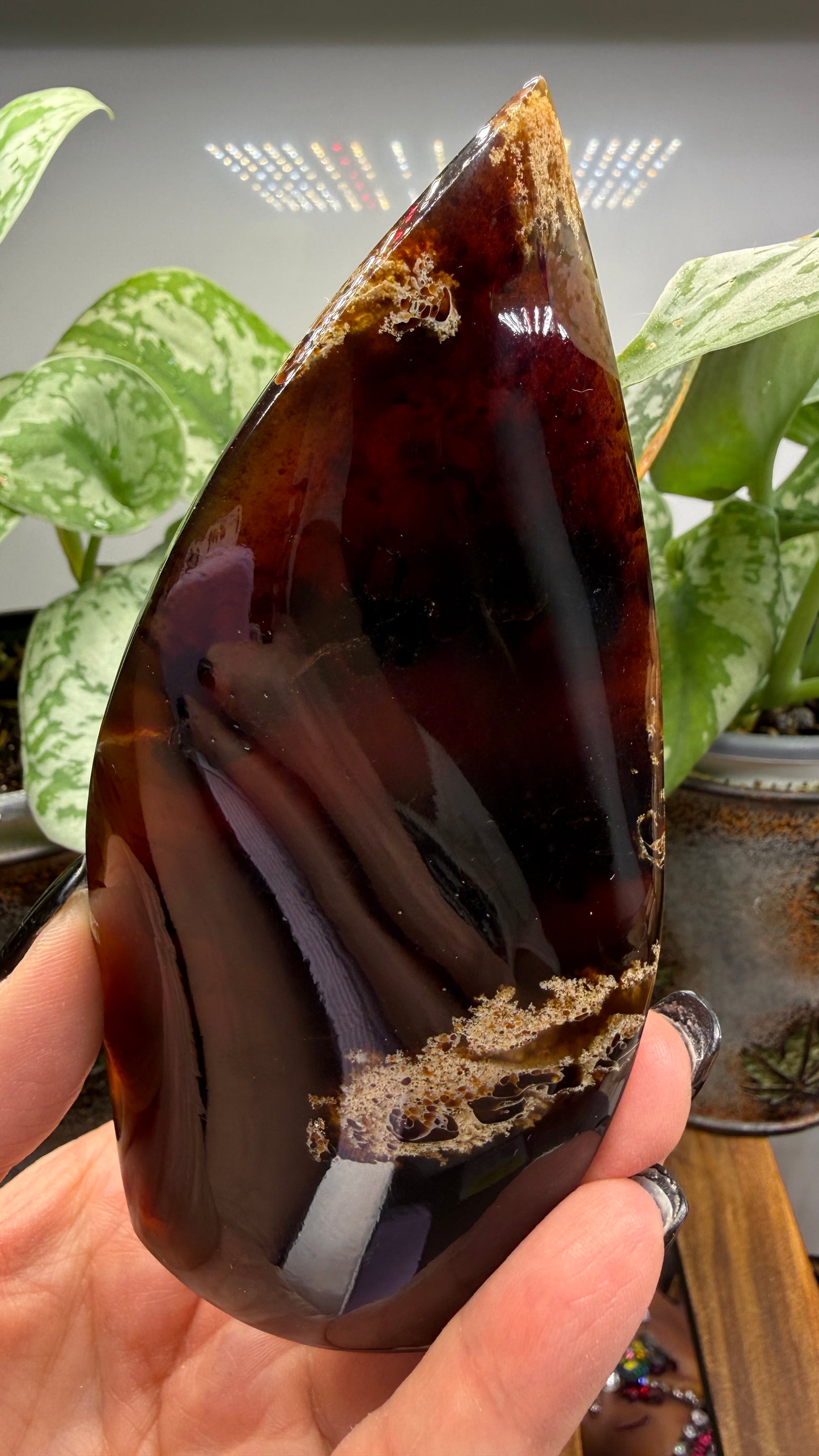 Amber Flame, polished- Indonesia