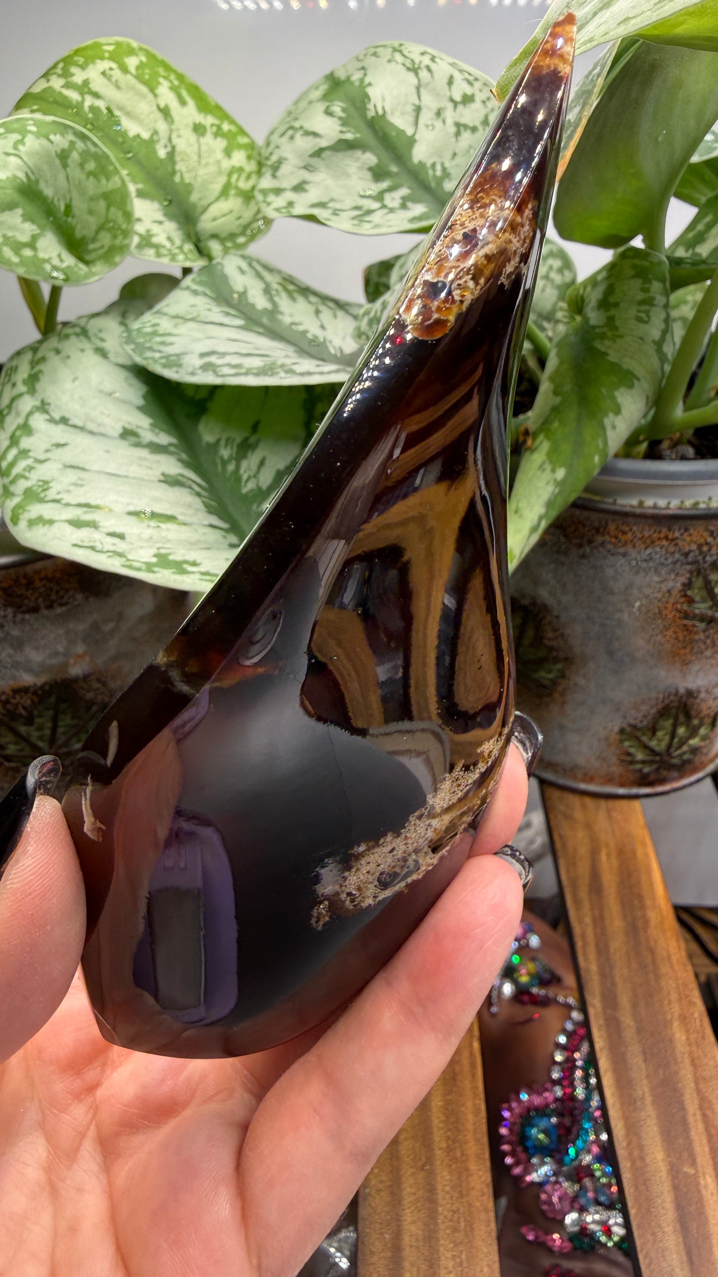 Amber Flame, polished- Indonesia