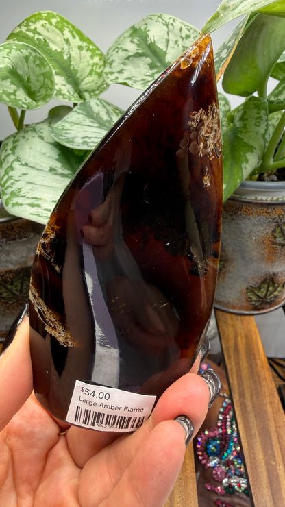 Amber Flame, polished- Indonesia