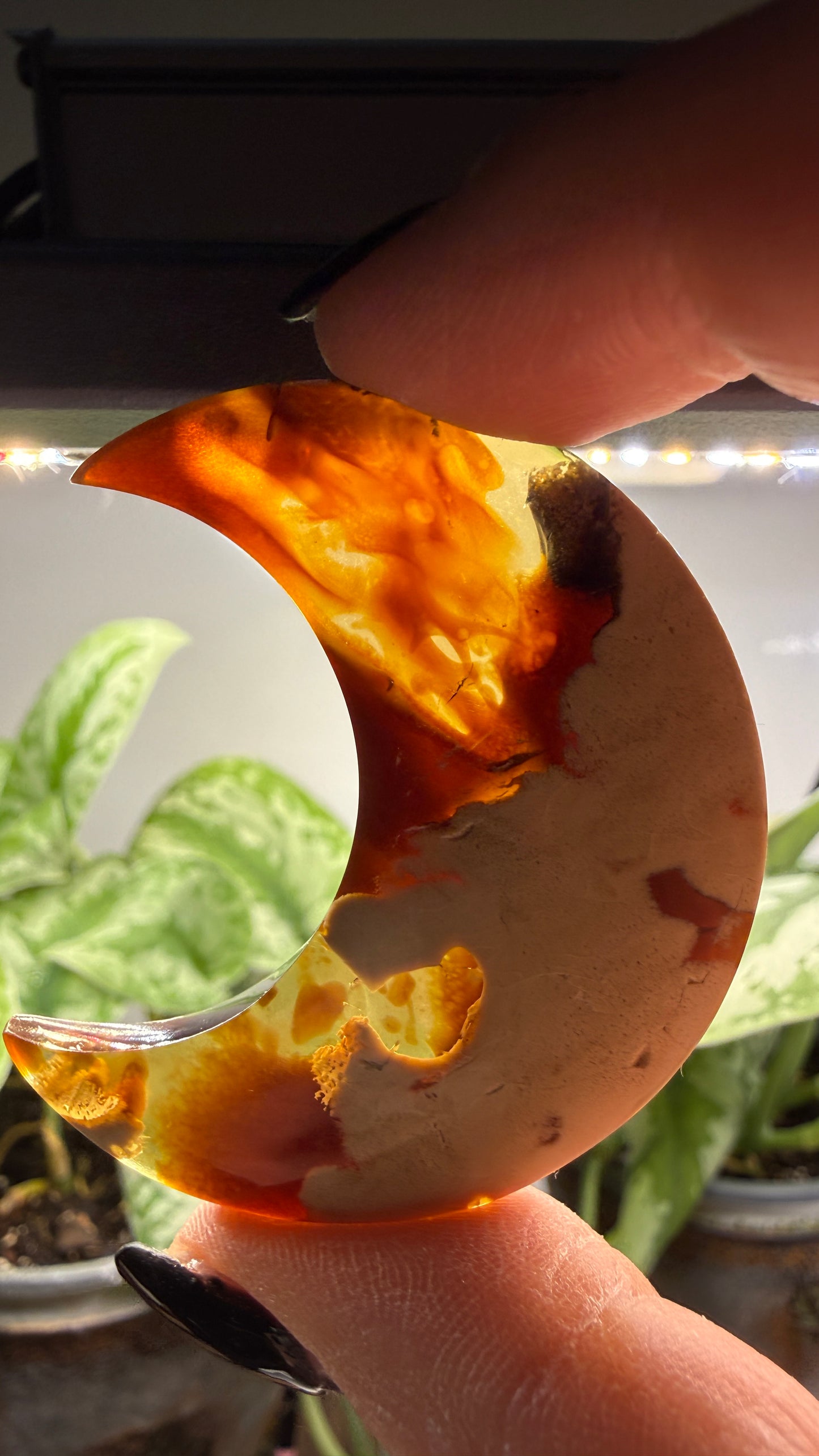Amber Moon Polished Crystal- Indonesia