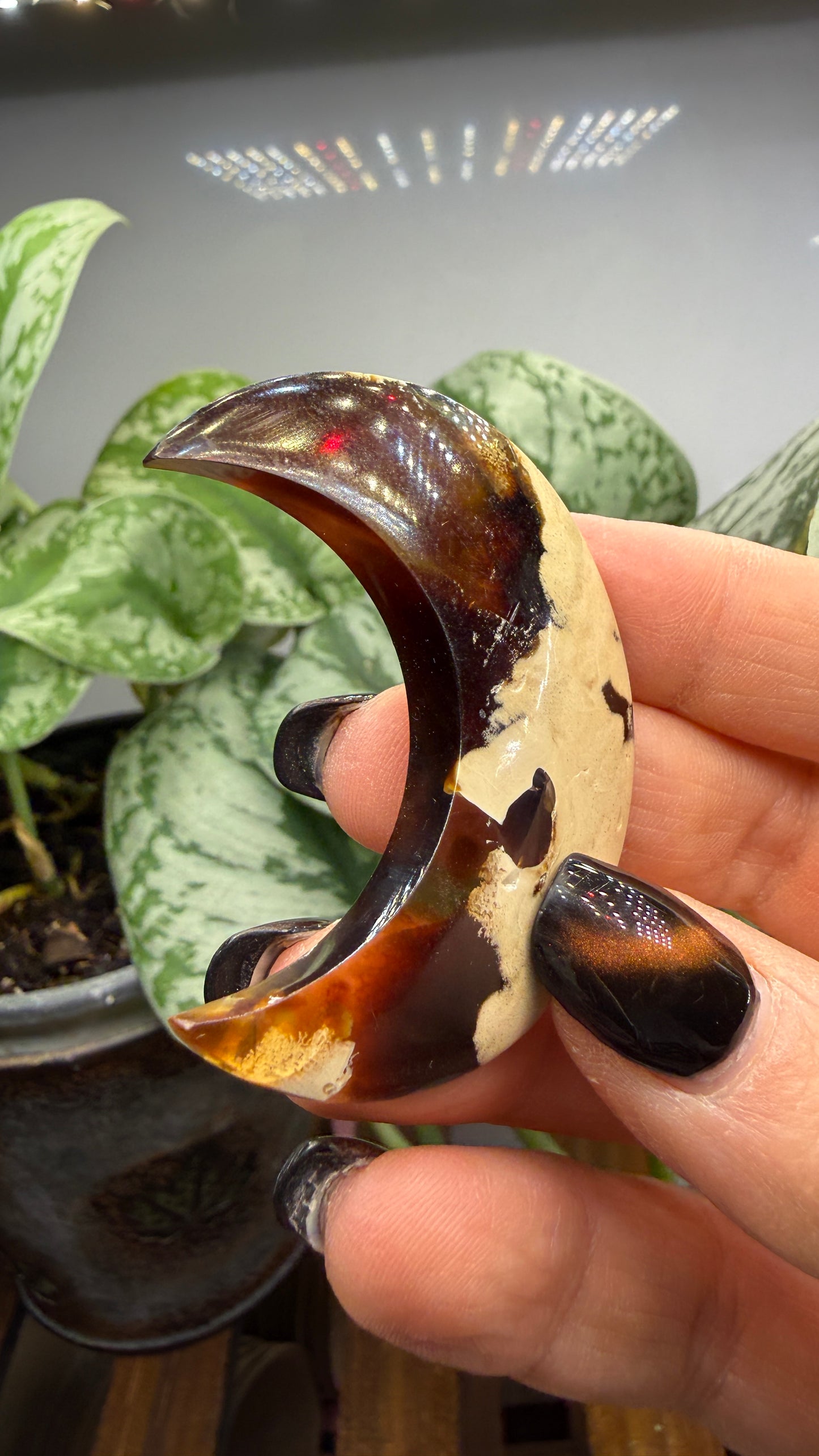 Amber Moon Polished Crystal- Indonesia