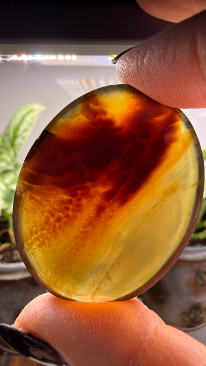 Amber Worry Stone- Indonesia