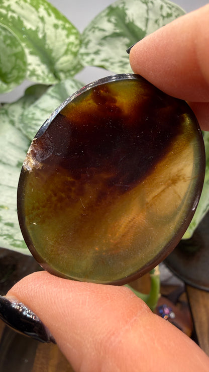 Amber Worry Stone- Indonesia