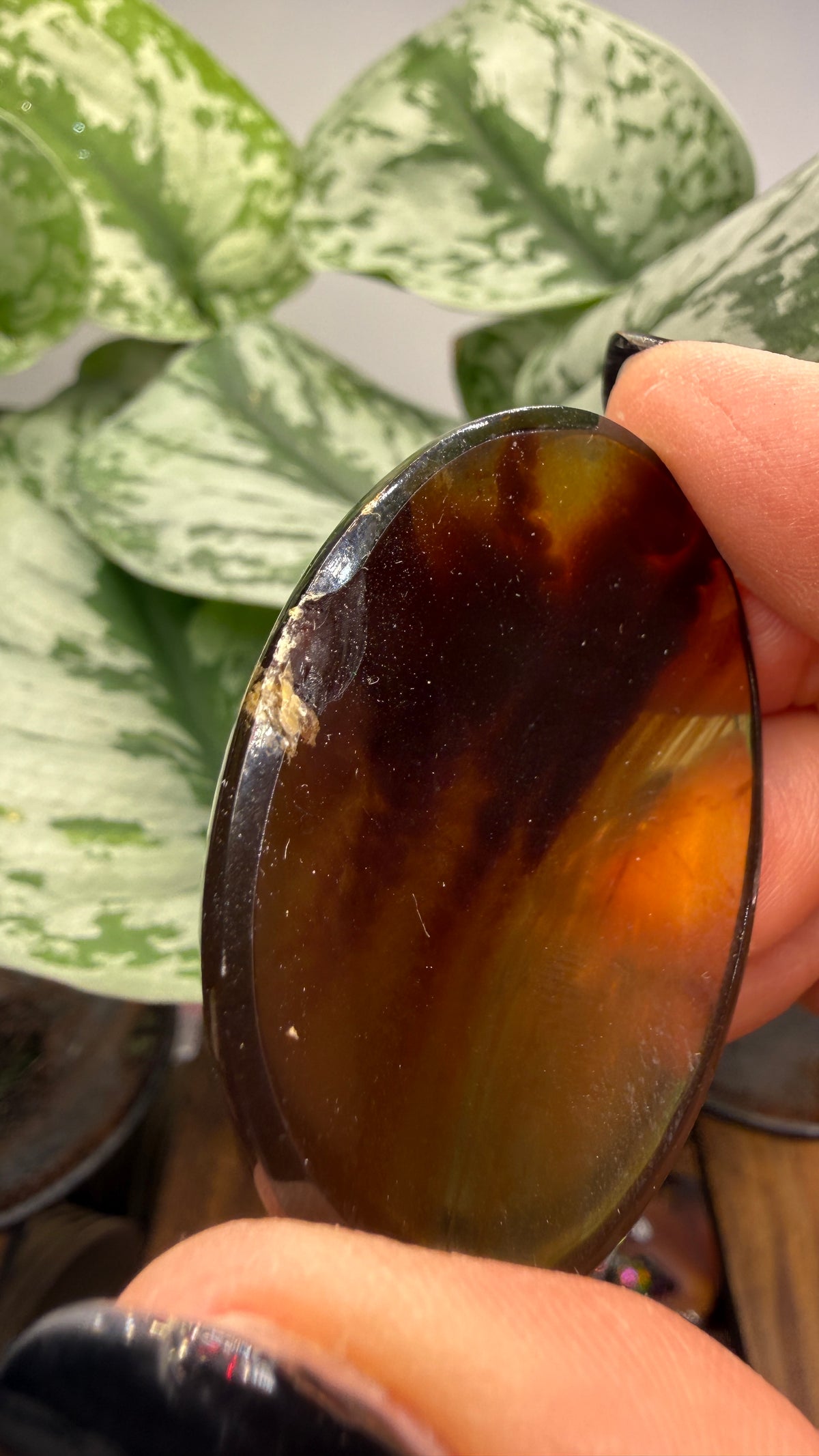 Amber Worry Stone- Indonesia