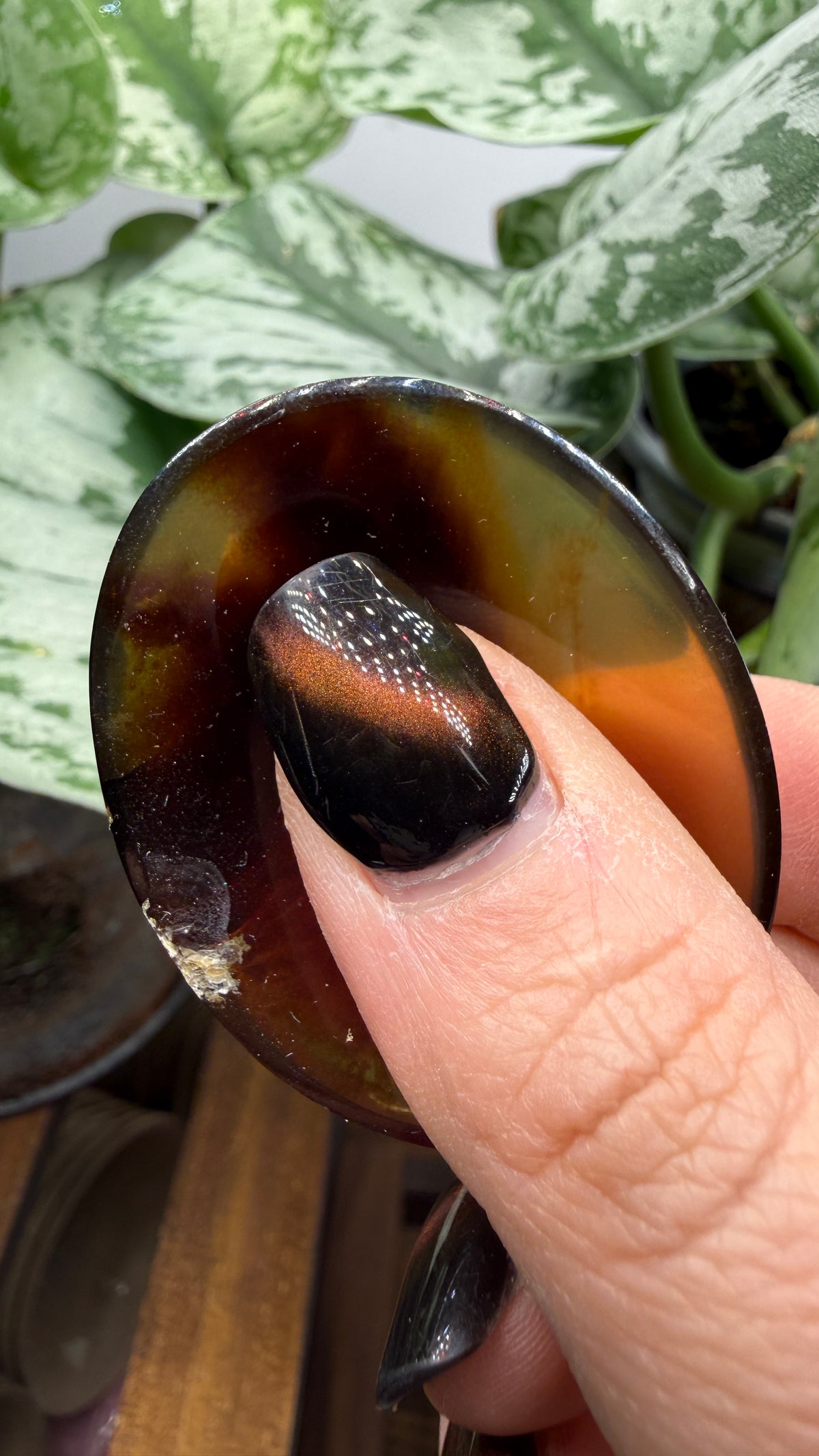 Amber Worry Stone- Indonesia