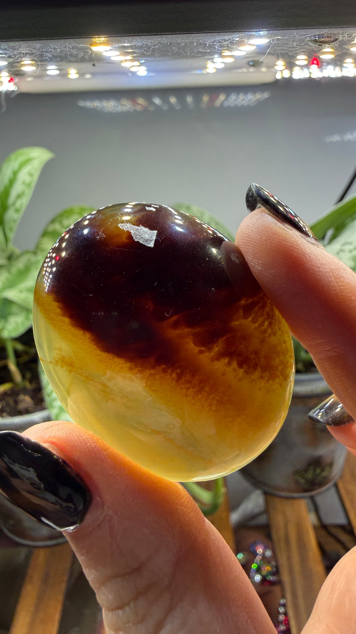 Amber Worry Stone- Indonesia
