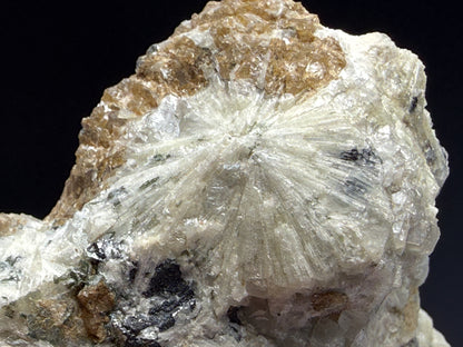 Apatite, Monticellite in Calcite- Magnet Cove, Hot Spring County, Arkansas, USA