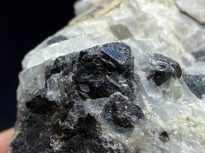 Apatite, Monticellite in Calcite- Magnet Cove, Hot Spring County, Arkansas, USA