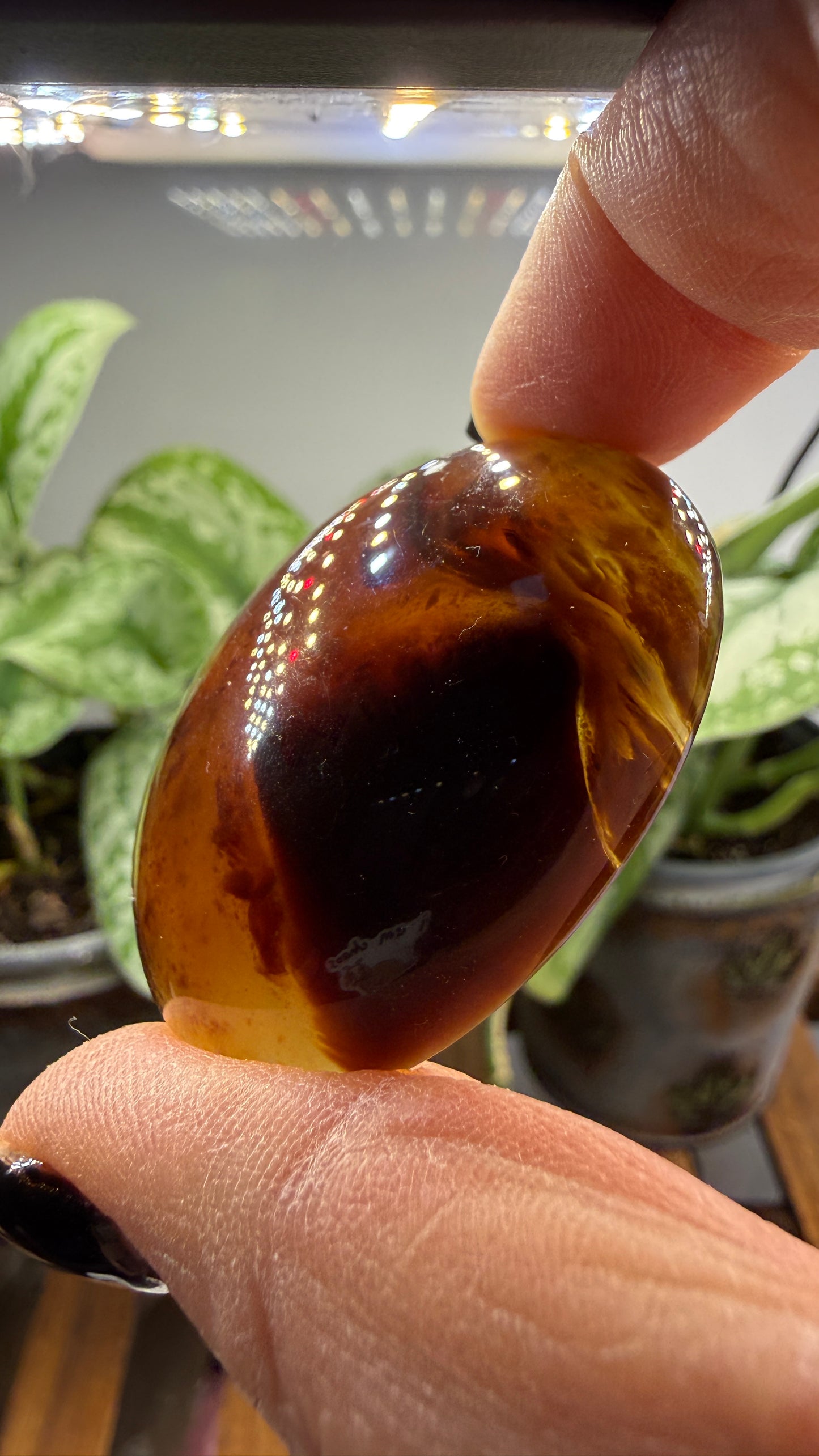 Amber Worry Stone- Indonesia