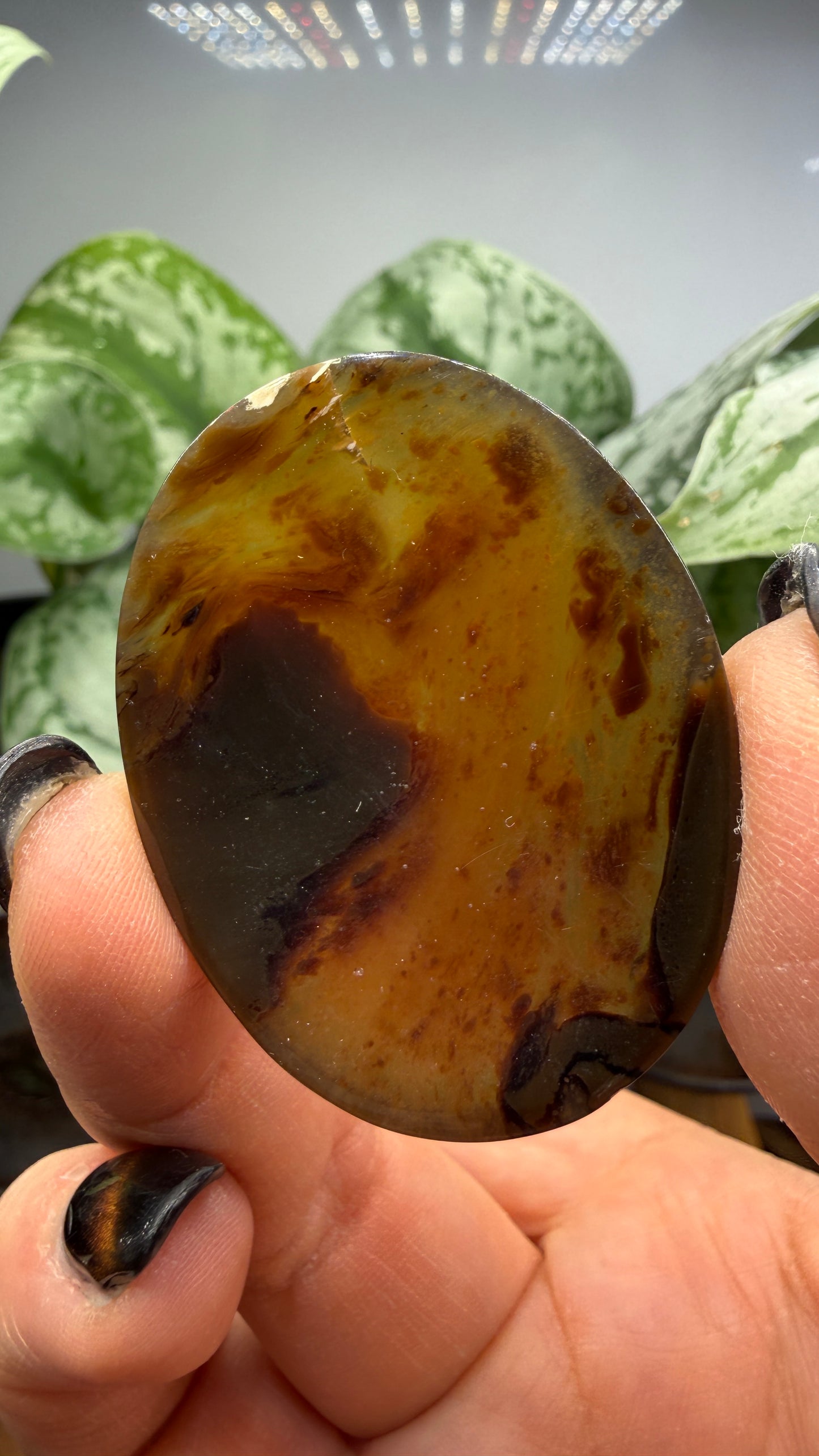 Amber Worry Stone- Indonesia