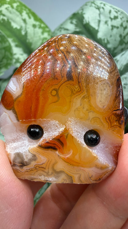 Carnelian Crystal Buddy- Polished Crystal with Eyes