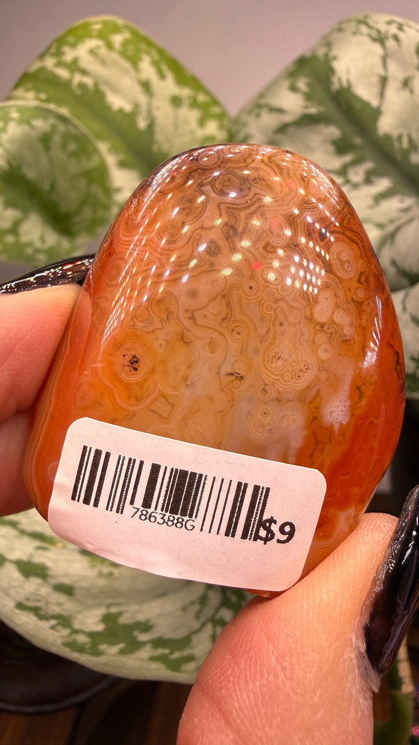 Carnelian Crystal Buddy- Polished Crystal with Eyes