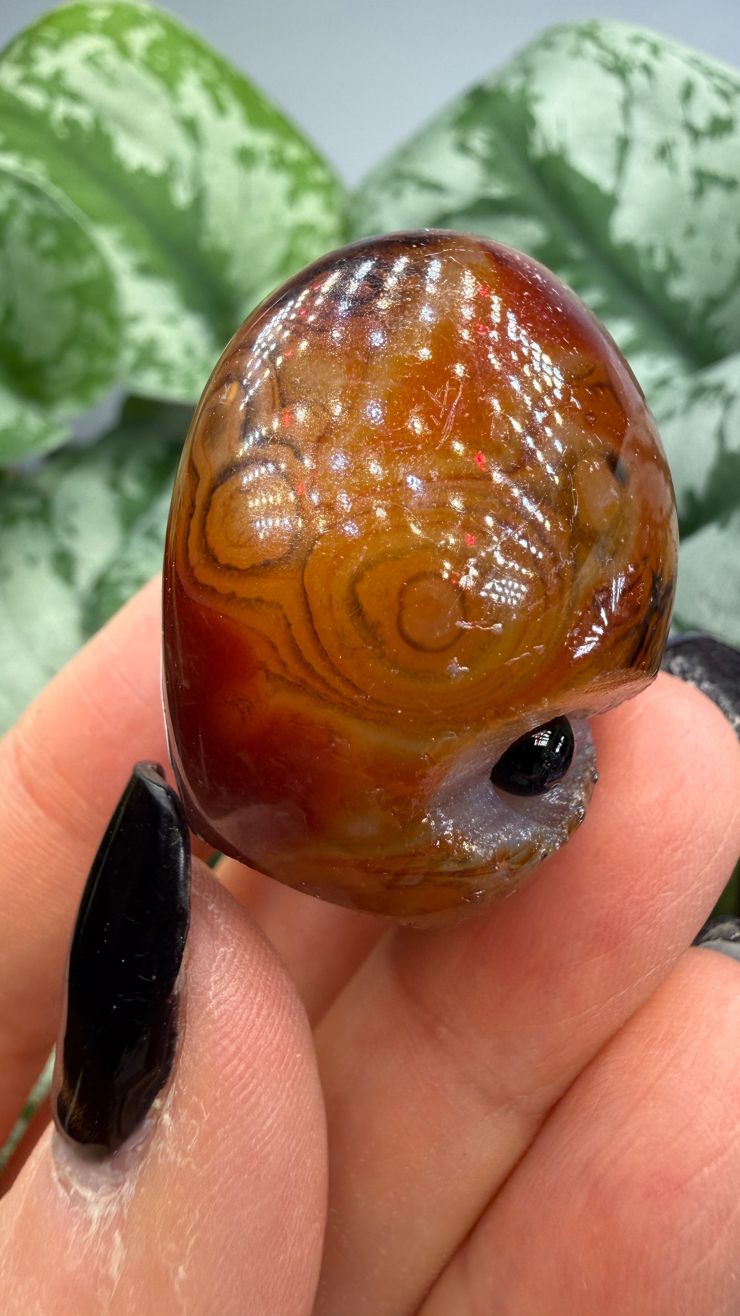 Carnelian Crystal Buddy- Polished Crystal with Eyes