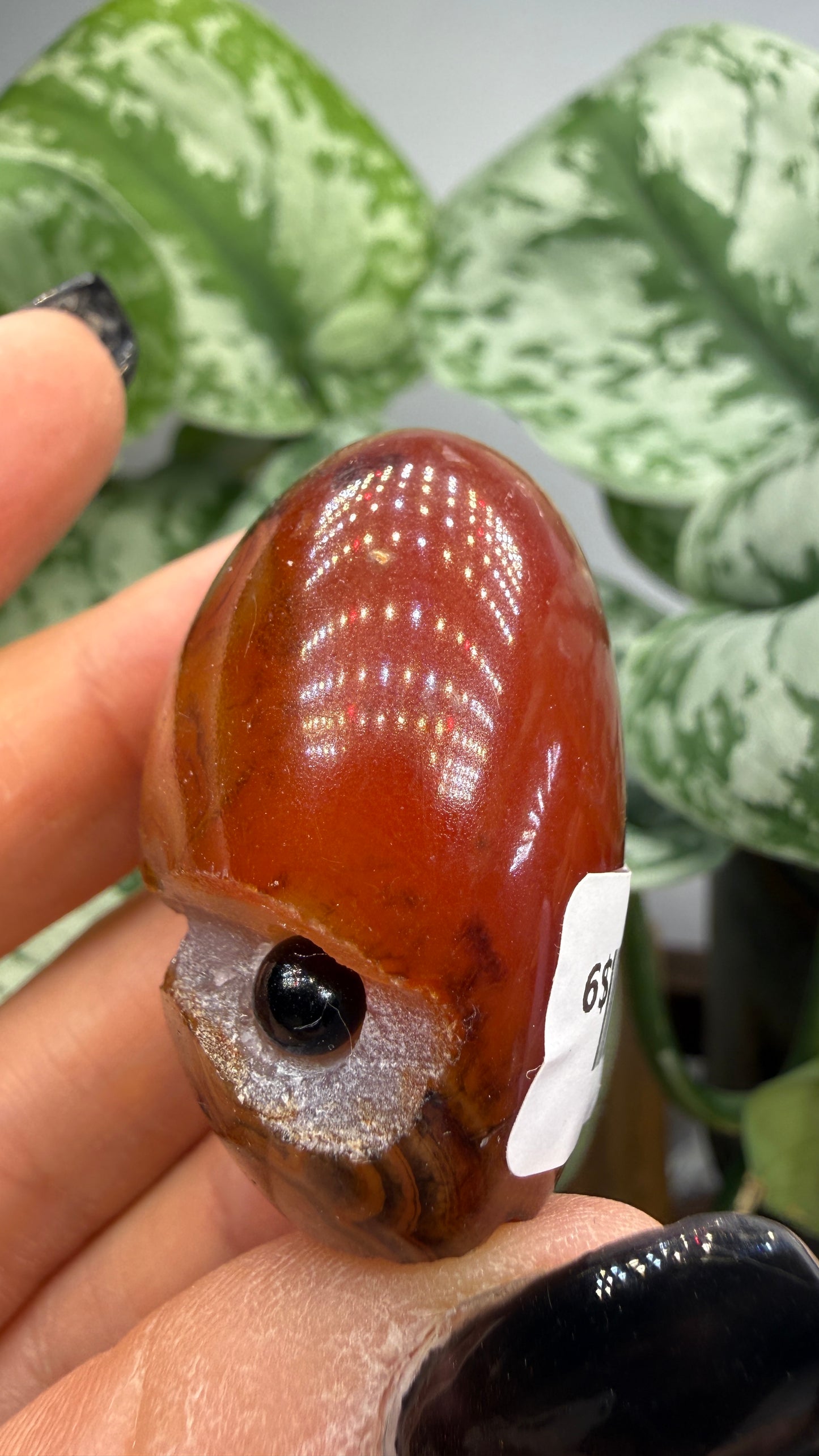 Carnelian Crystal Buddy- Polished Crystal with Eyes