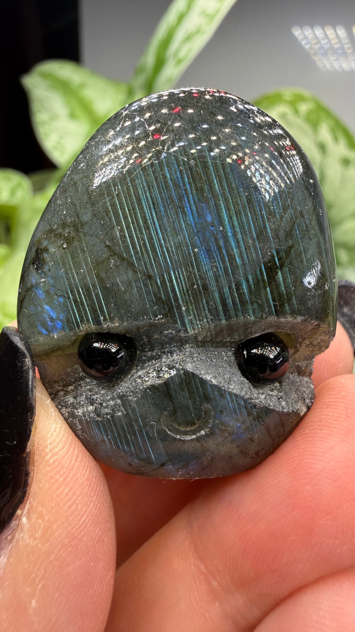 Labradorite Crystal Buddy- Polished Crystal with Eyes