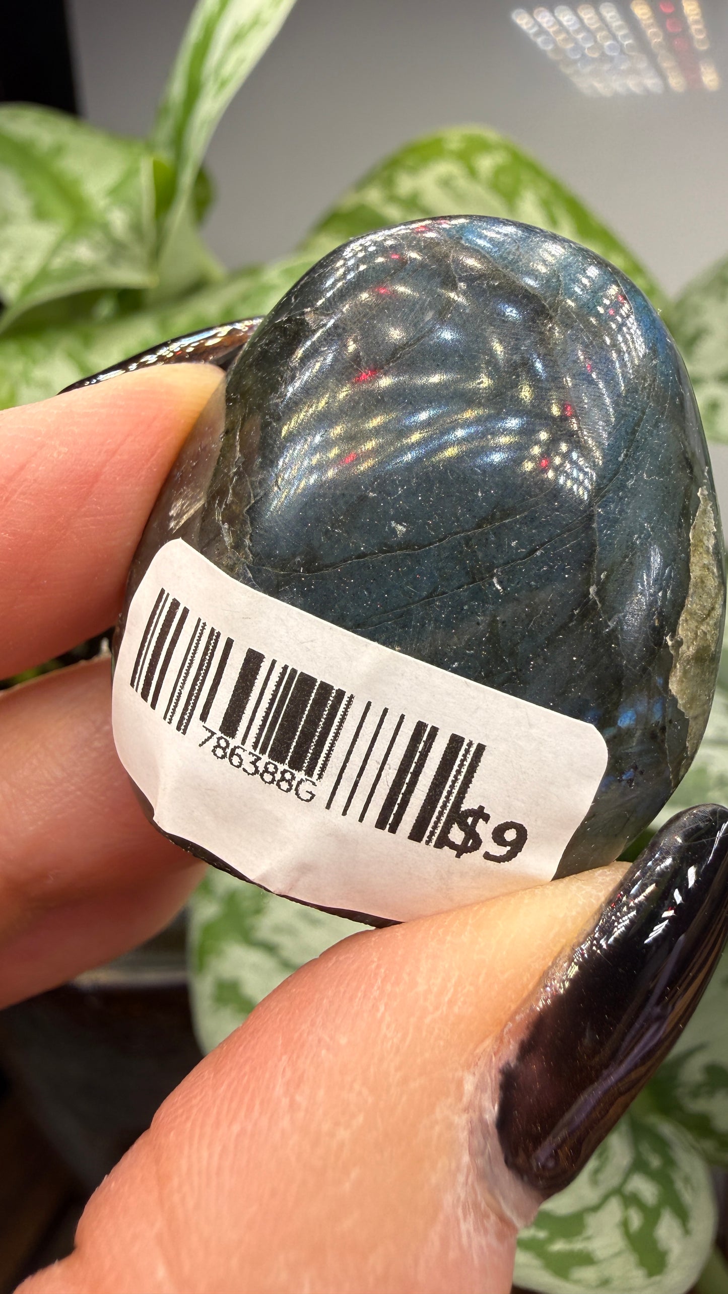 Labradorite Crystal Buddy- Polished Crystal with Eyes