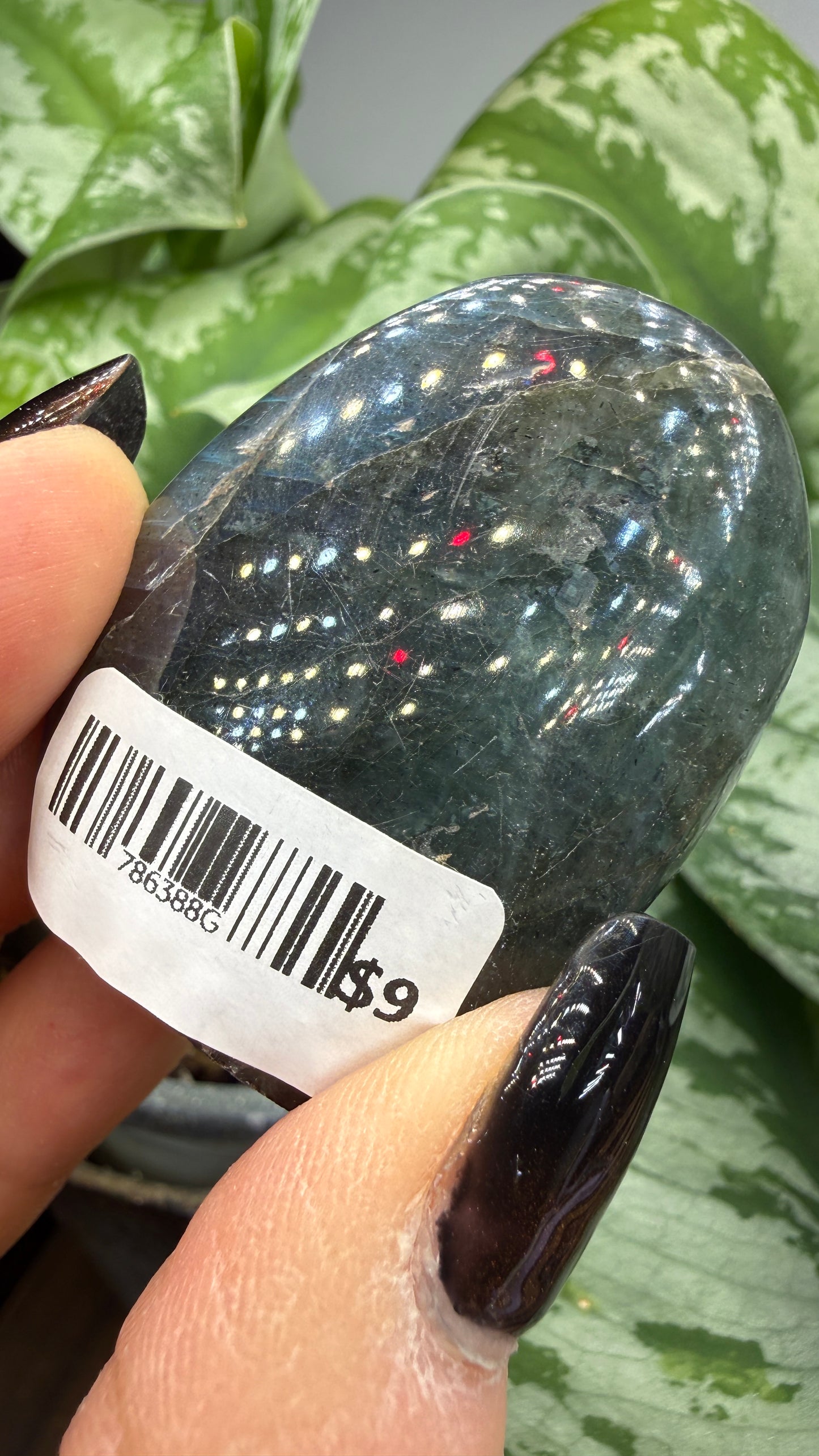 Labradorite Crystal Buddy- Polished Crystal with Eyes