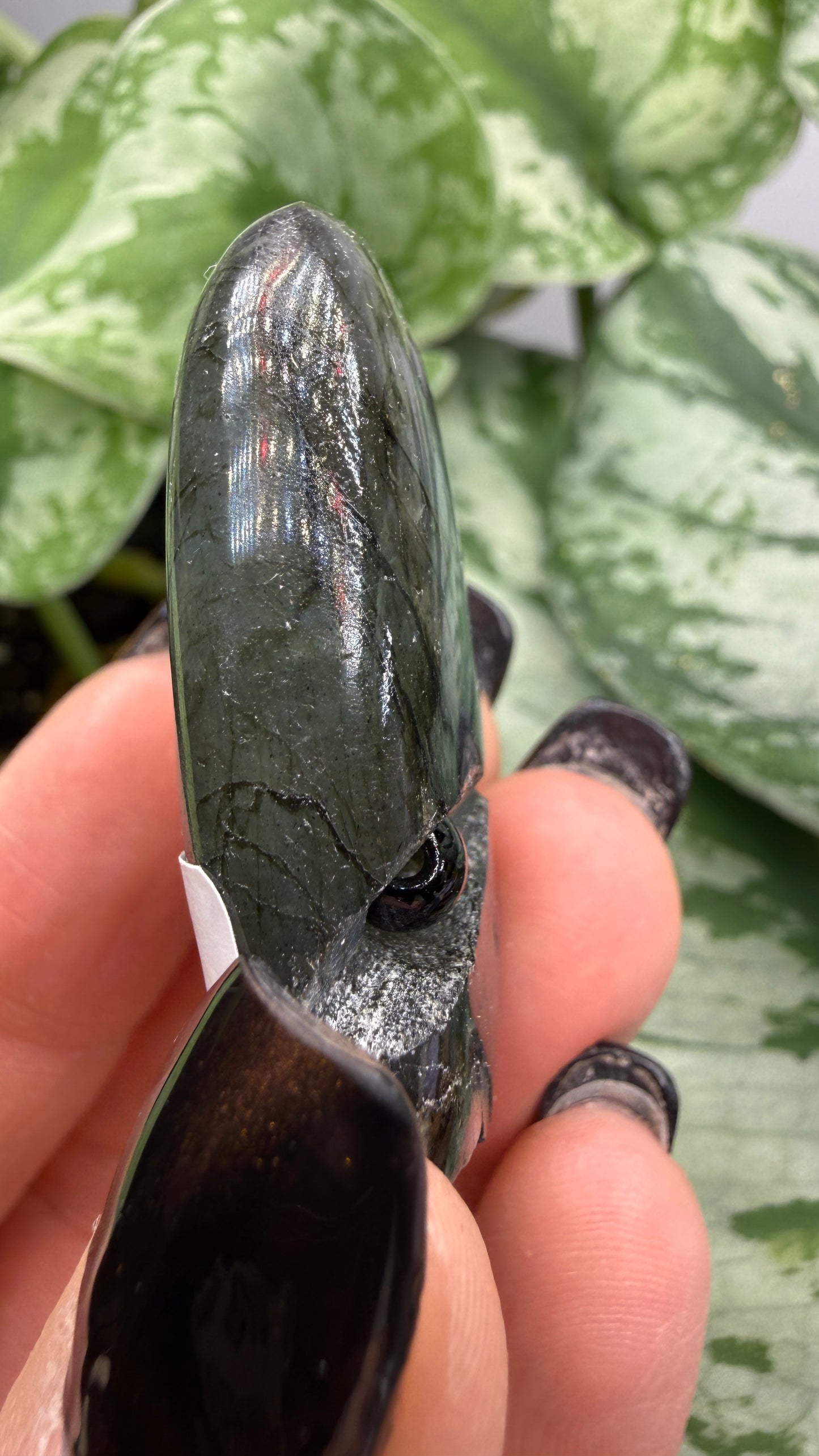 Labradorite Crystal Buddy- Polished Crystal with Eyes