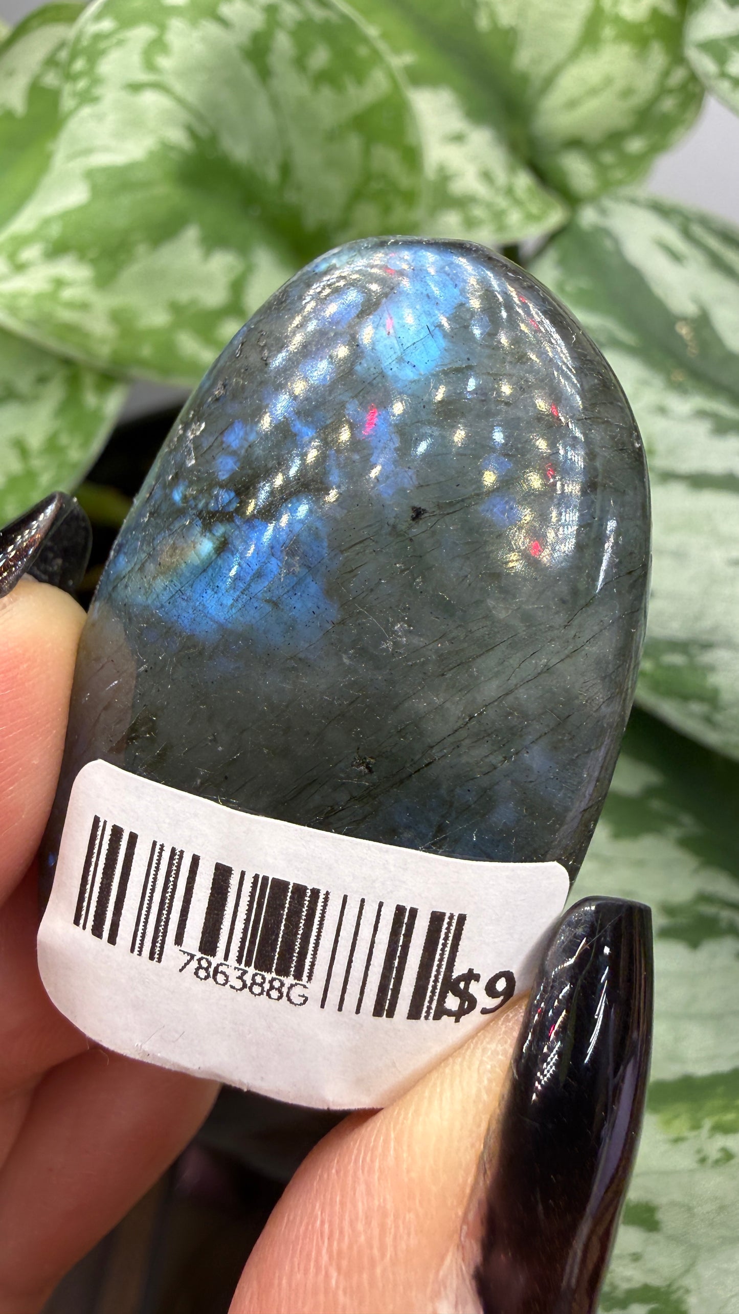Labradorite Crystal Buddy- Polished Crystal with Eyes