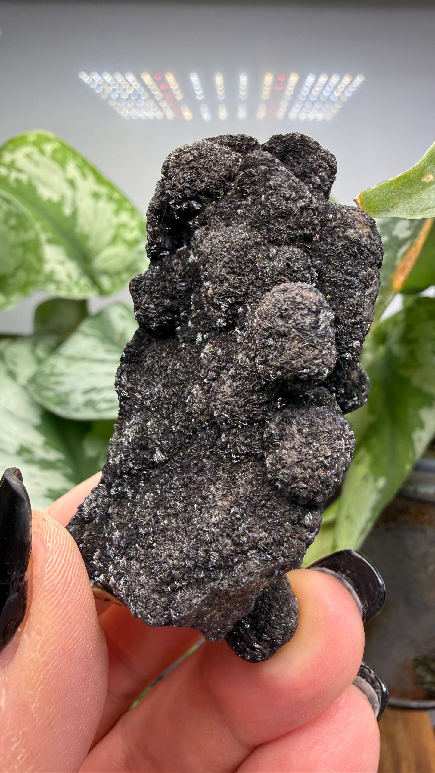 Siderite- Bisbee, Arizona