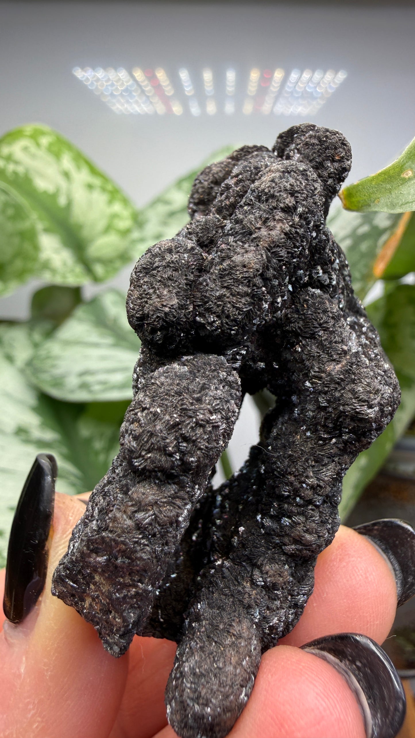 Siderite- Bisbee, Arizona