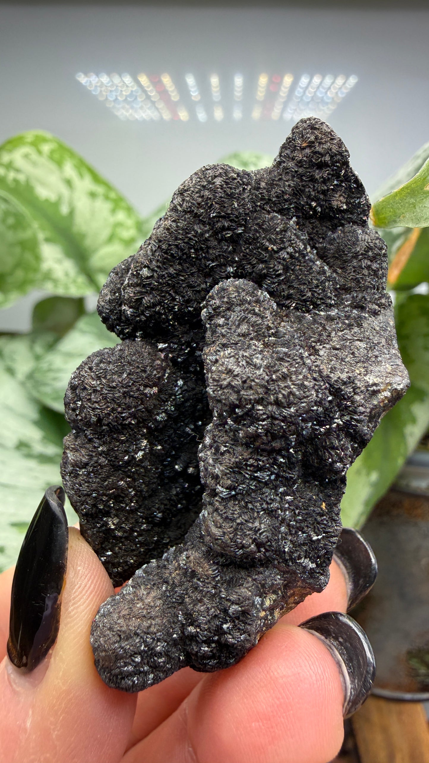 Siderite- Bisbee, Arizona