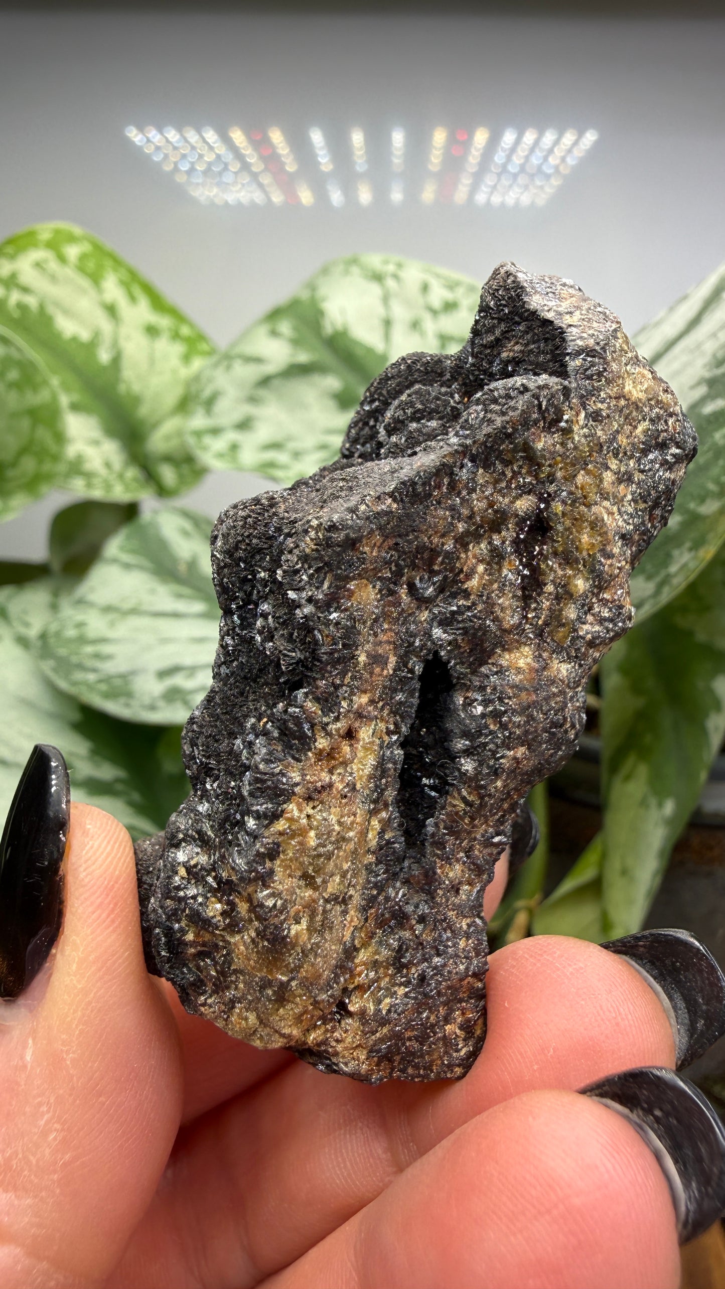 Siderite- Bisbee, Arizona