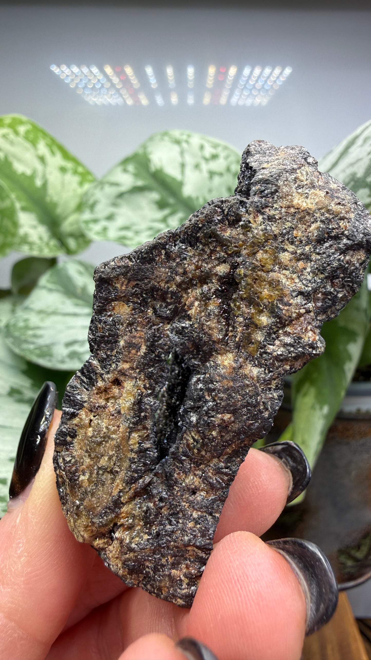 Siderite- Bisbee, Arizona