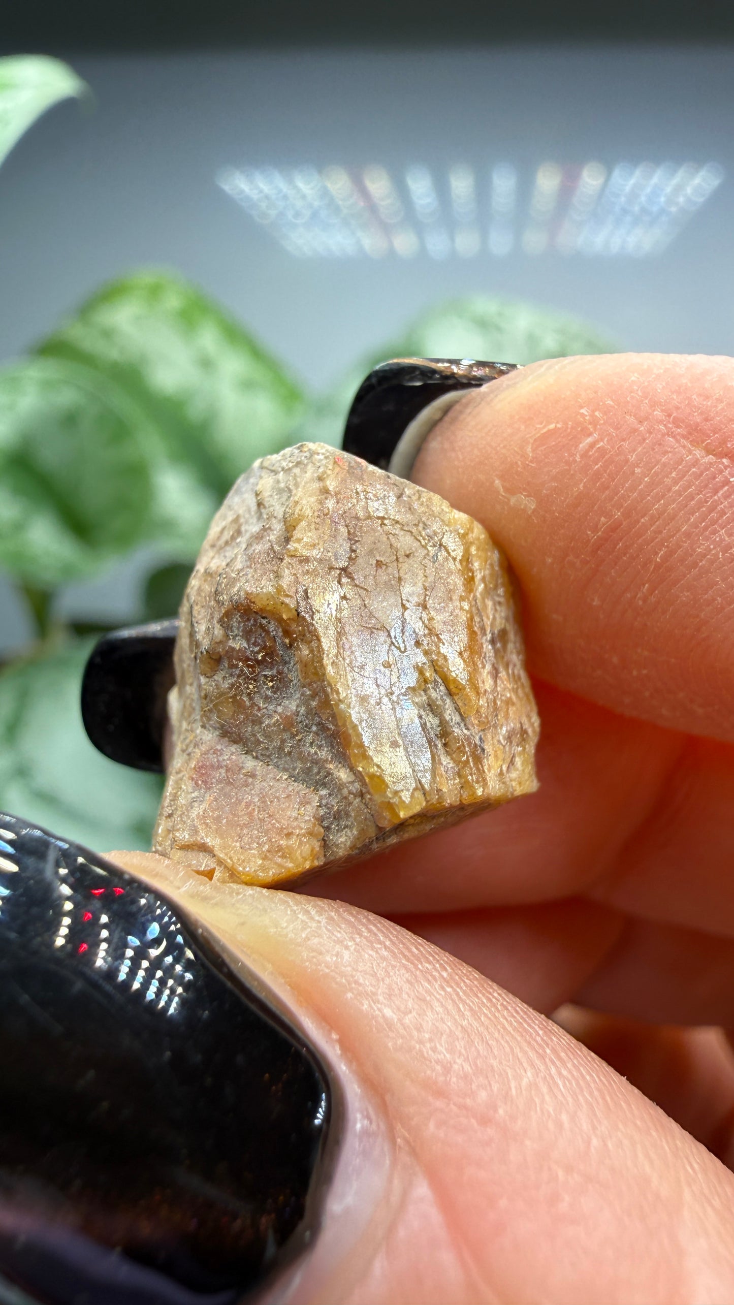 Simpsonite- Alto do Giz, Equador, Rio Grande do Norte, Brazil