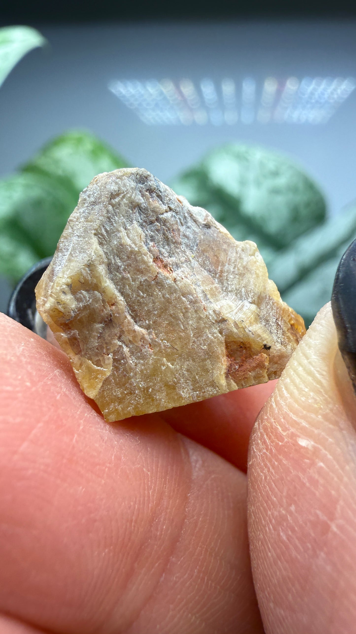 Simpsonite- Alto do Giz, Equador, Rio Grande do Norte, Brazil