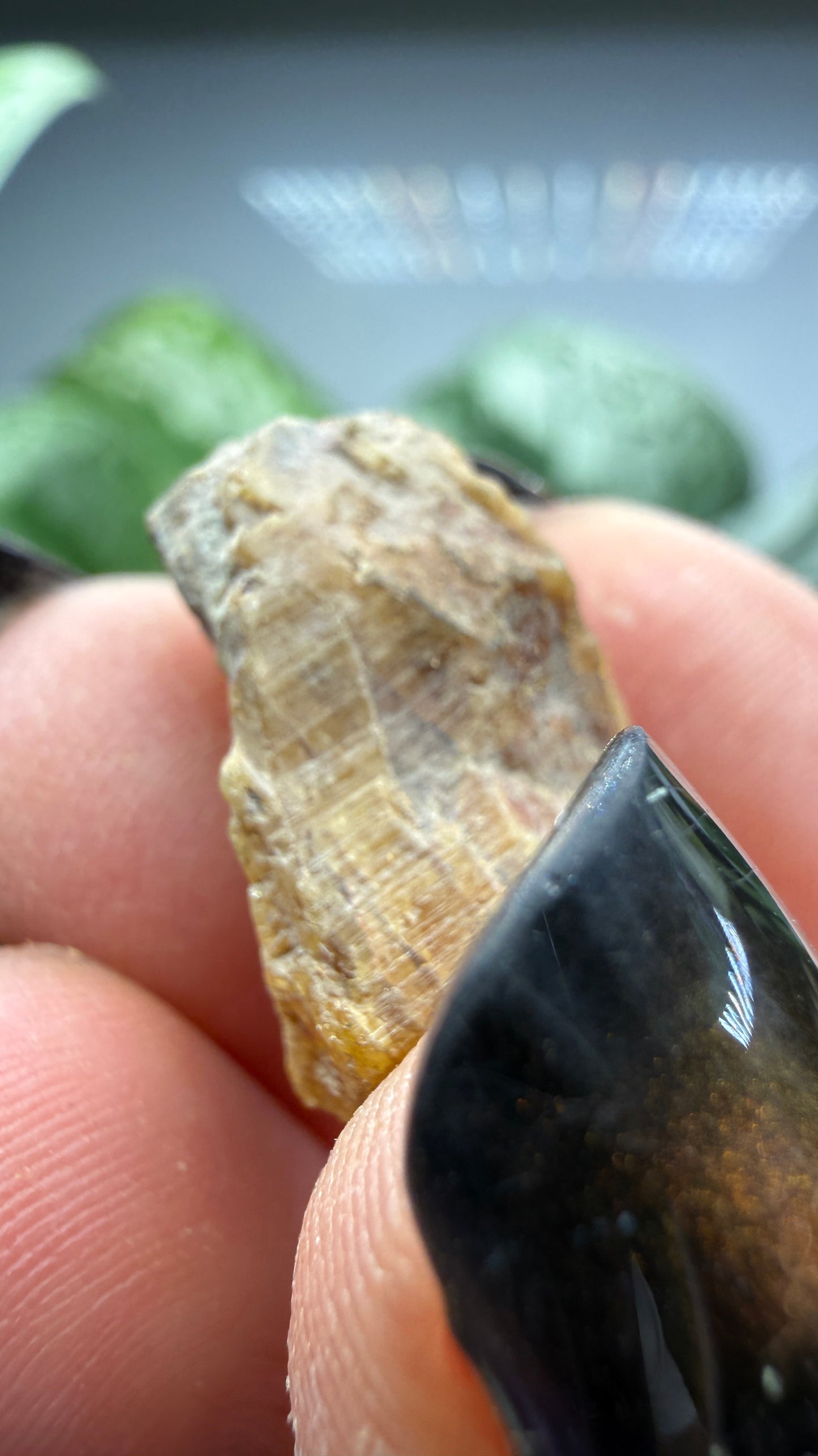 Simpsonite- Alto do Giz, Equador, Rio Grande do Norte, Brazil