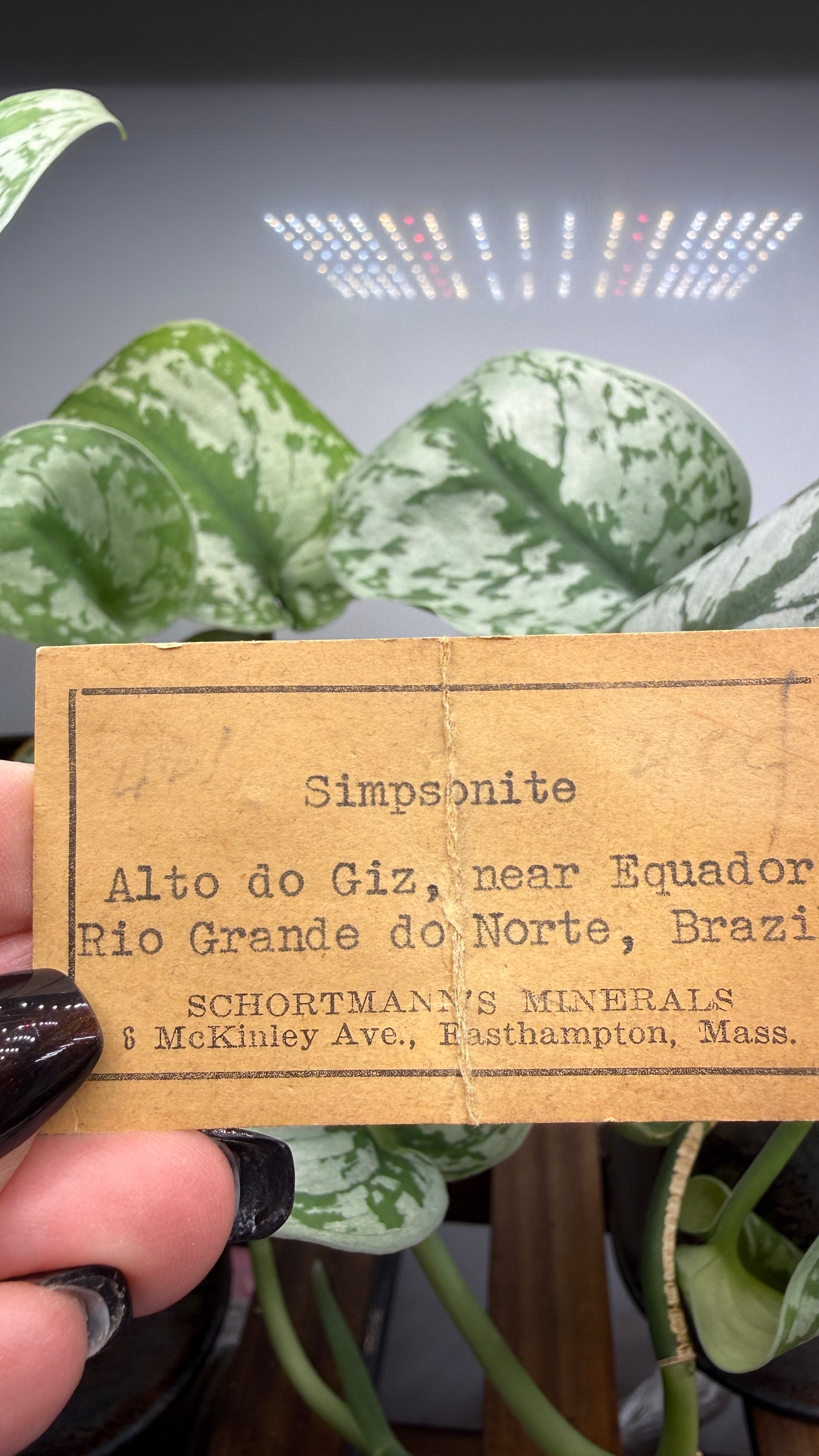 Simpsonite- Alto do Giz, Equador, Rio Grande do Norte, Brazil
