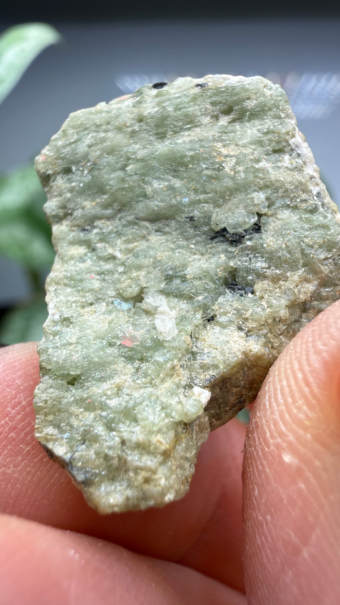 Ludlamite, Messelite- Palermo No. 1 Mine, Groton, Grafton County, New Hampshire, USA
