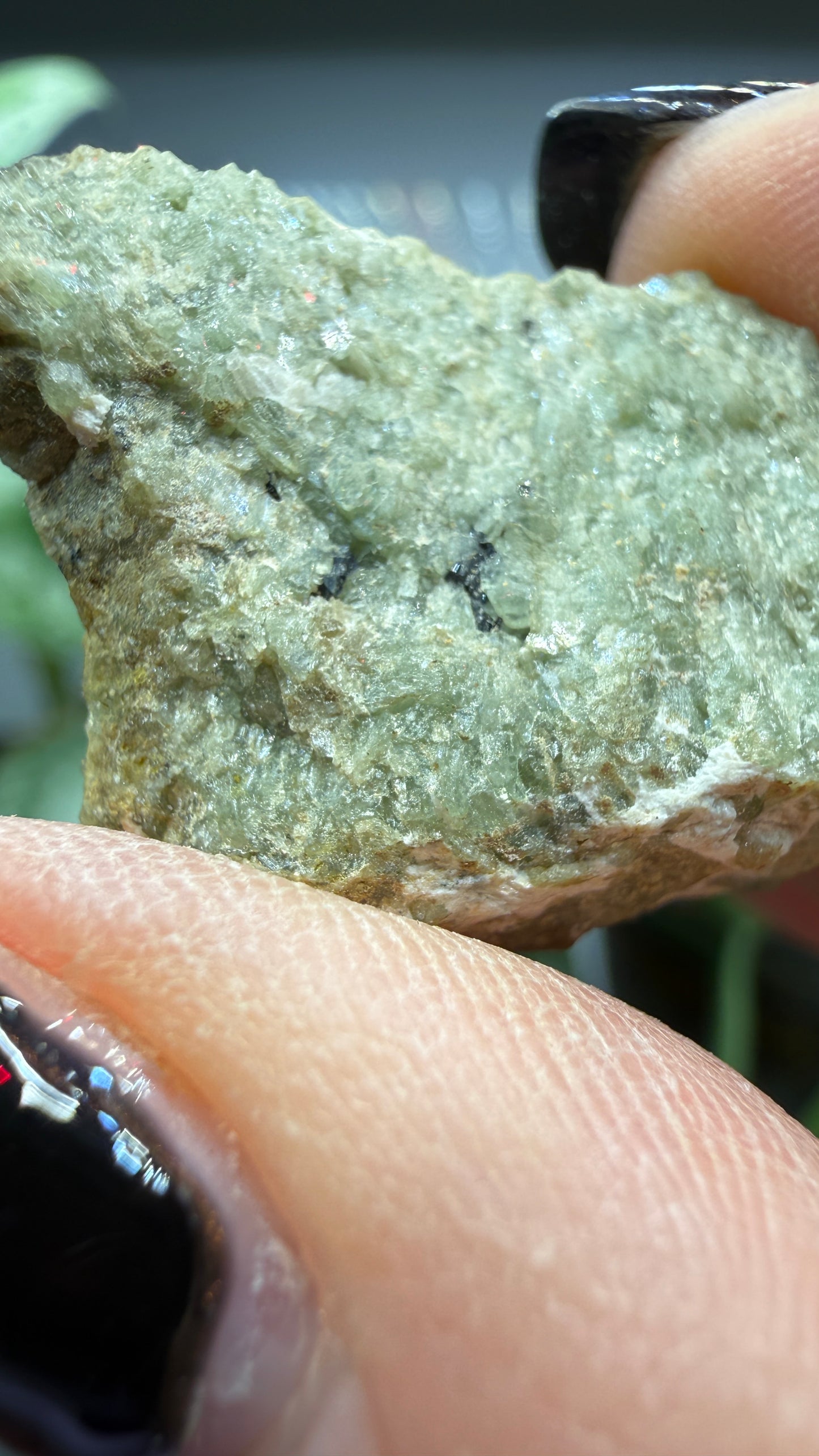 Ludlamite, Messelite- Palermo No. 1 Mine, Groton, Grafton County, New Hampshire, USA