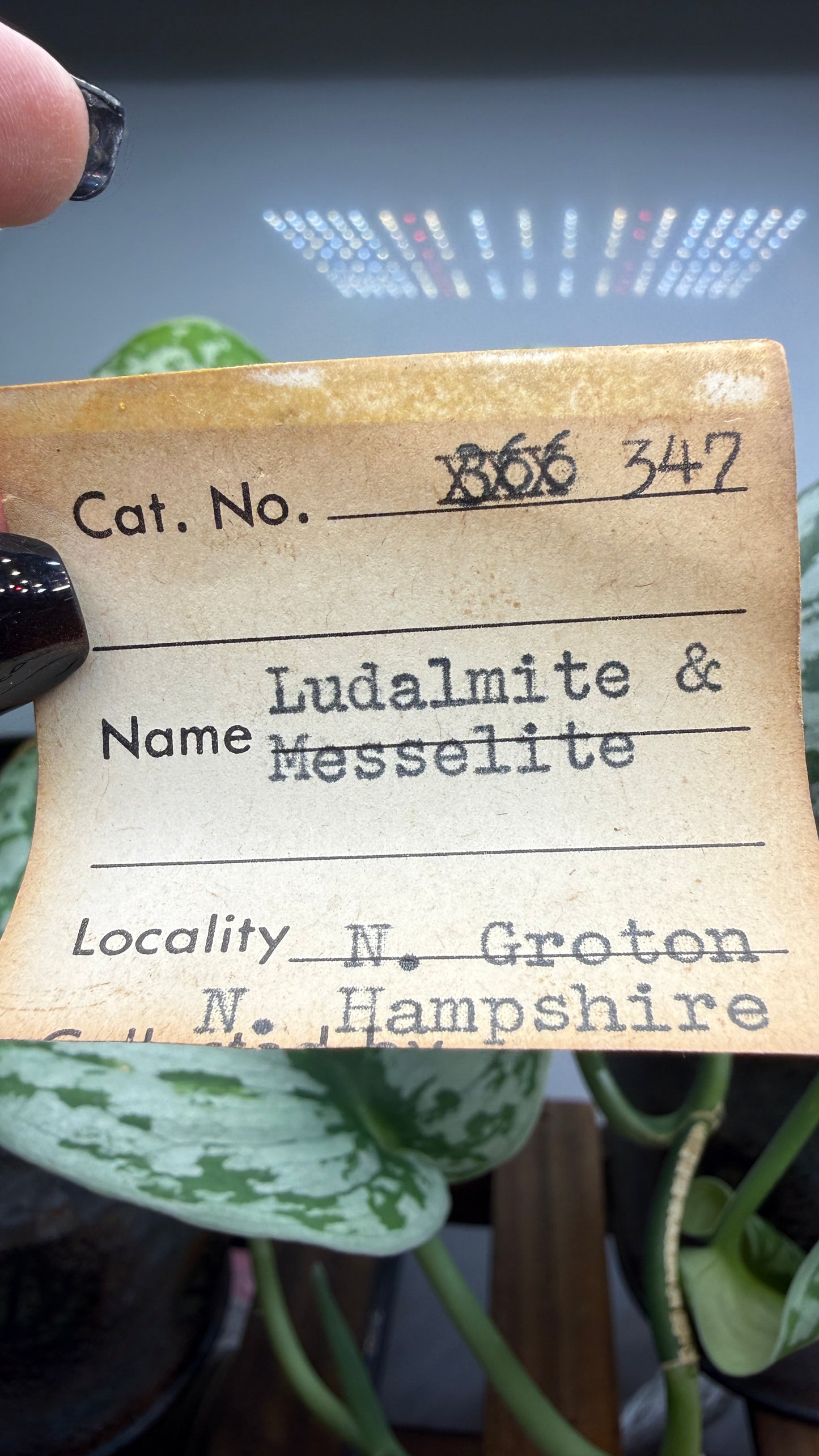Ludlamite, Messelite- Palermo No. 1 Mine, Groton, Grafton County, New Hampshire, USA