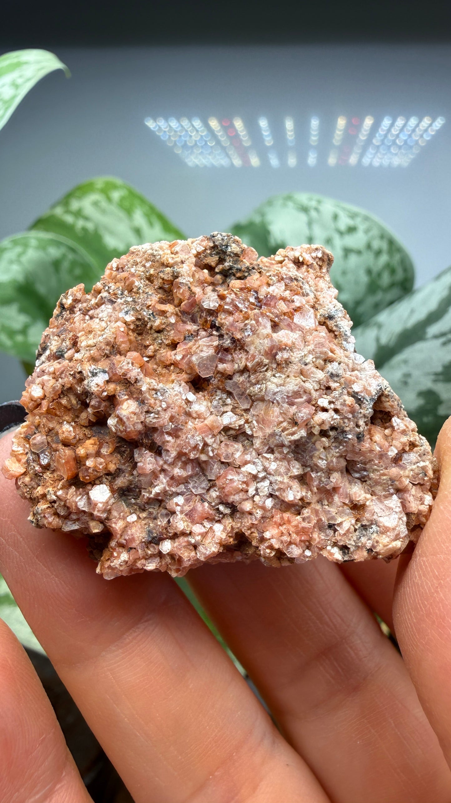 Ephesite- Postmasburg, Northern Cape Province, South Africa