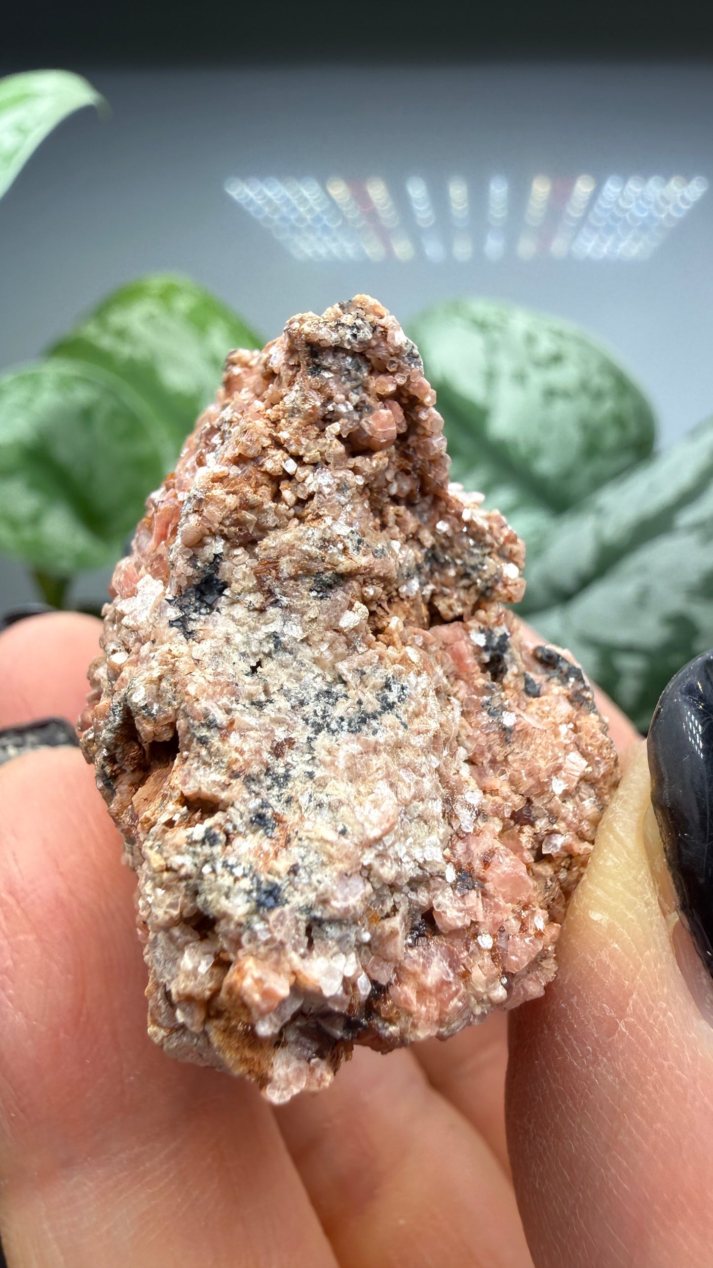 Ephesite- Postmasburg, Northern Cape Province, South Africa
