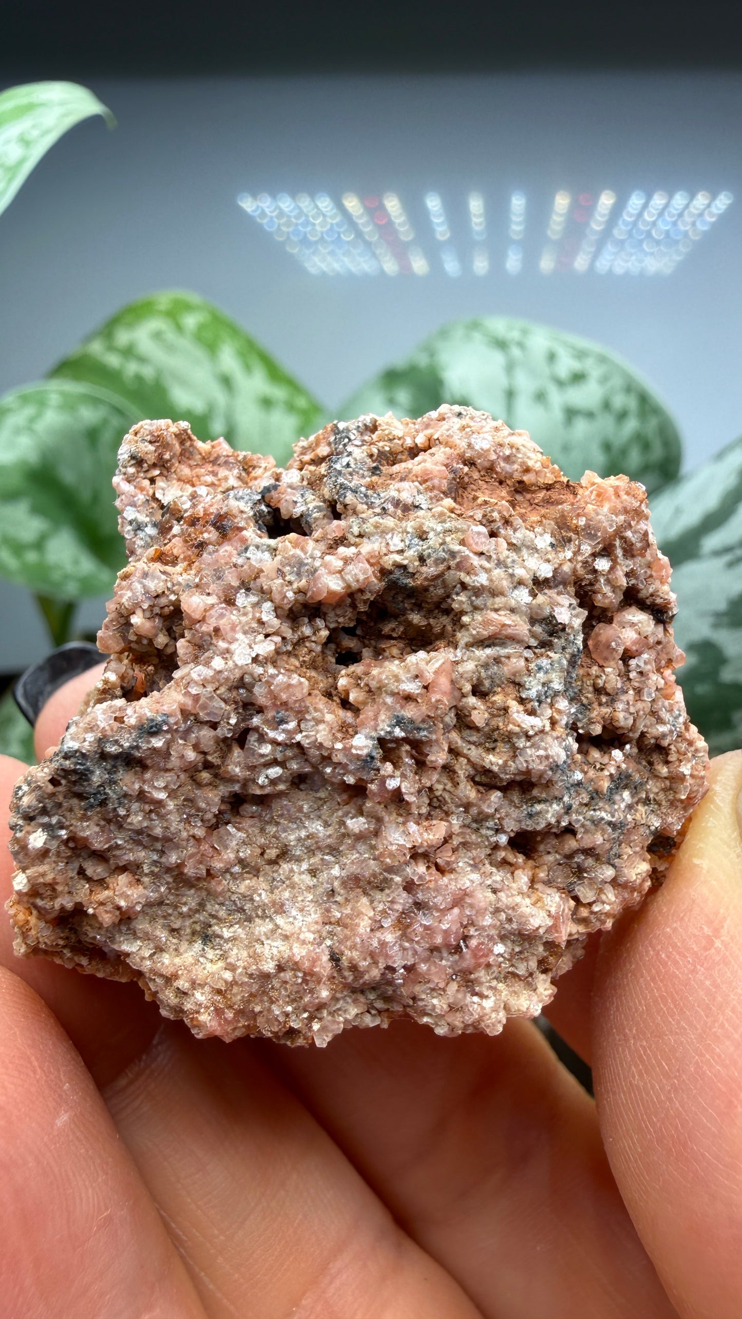 Ephesite- Postmasburg, Northern Cape Province, South Africa