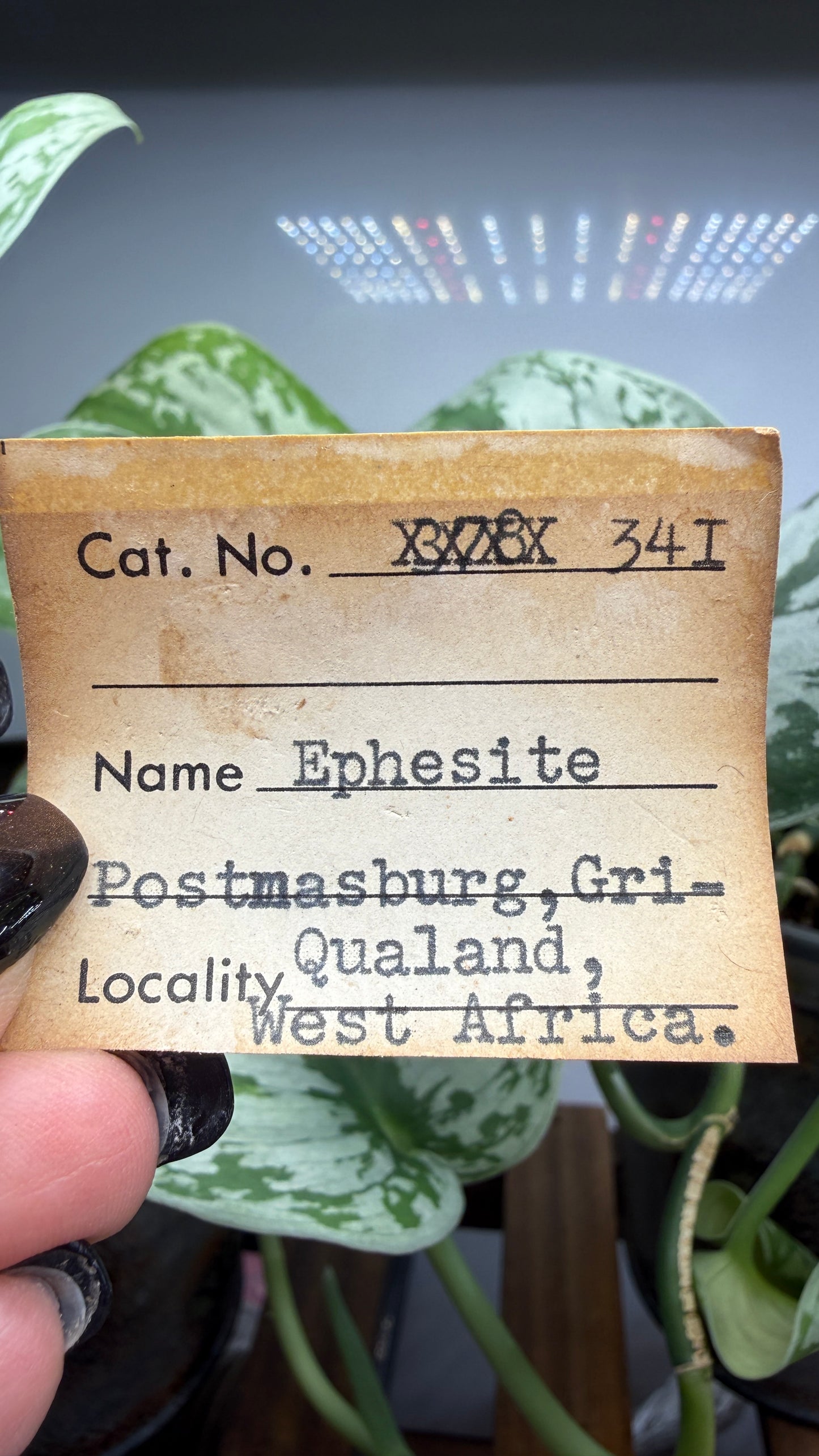 Ephesite- Postmasburg, Northern Cape Province, South Africa