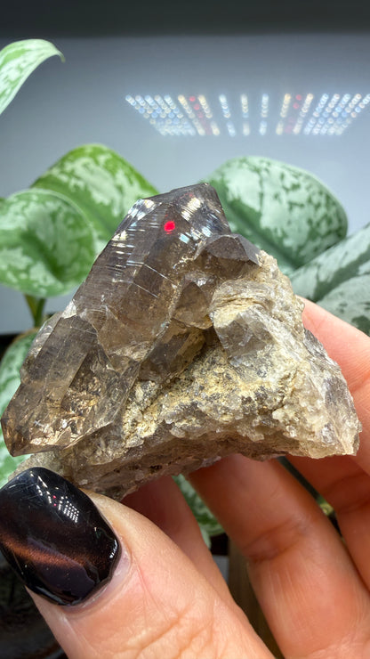 Smoky Quartz- Göschenenalp, Switzerland
